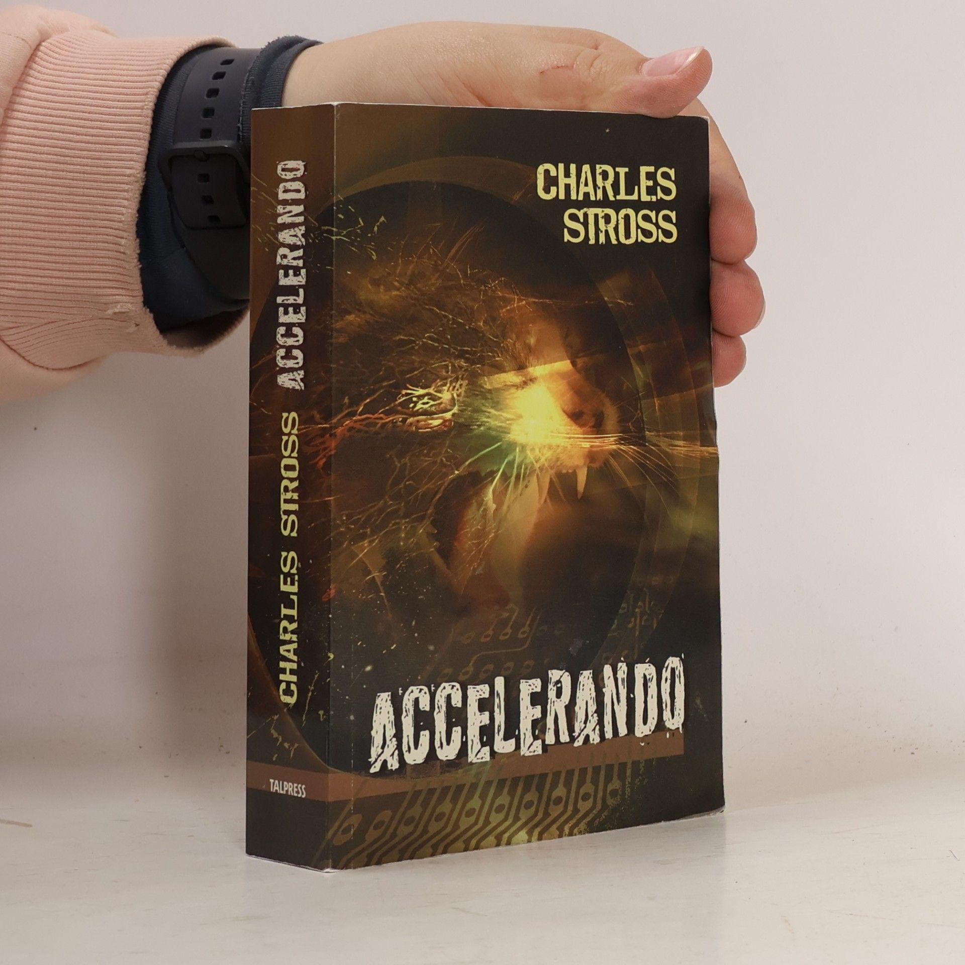 Charles Stross Accelerando
