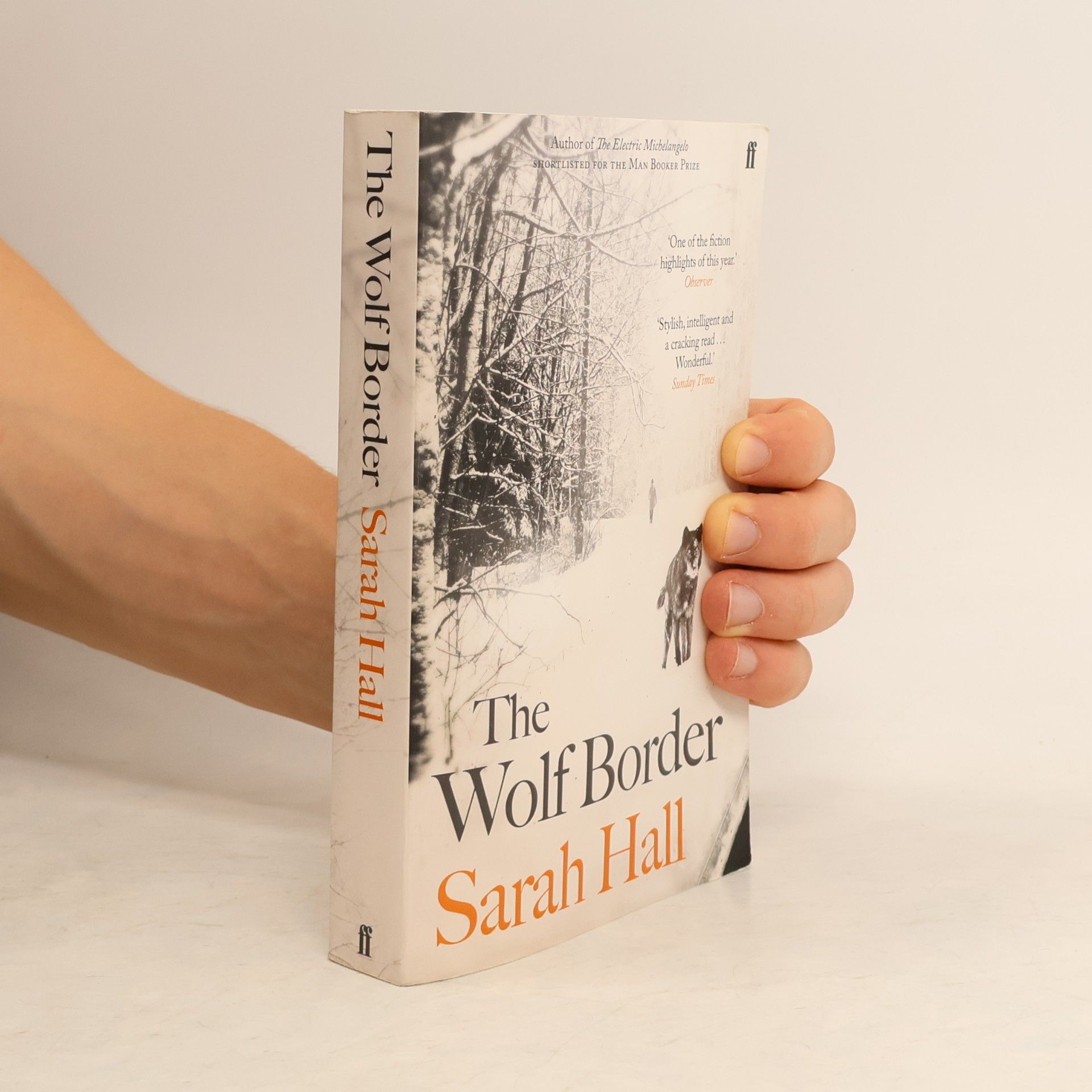 Sarah Hall The Wolf Border