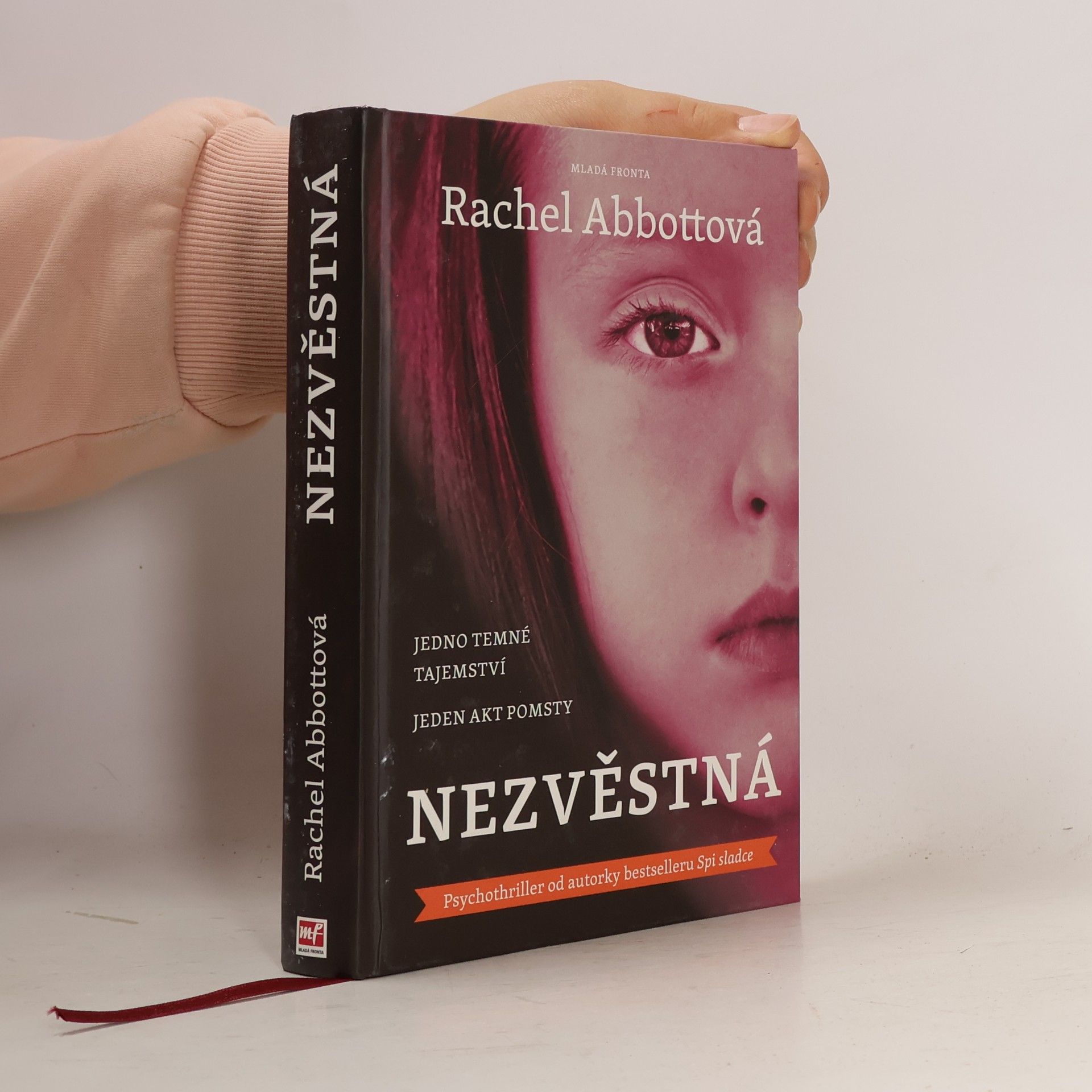 Rachel Abbott Nezvěstná