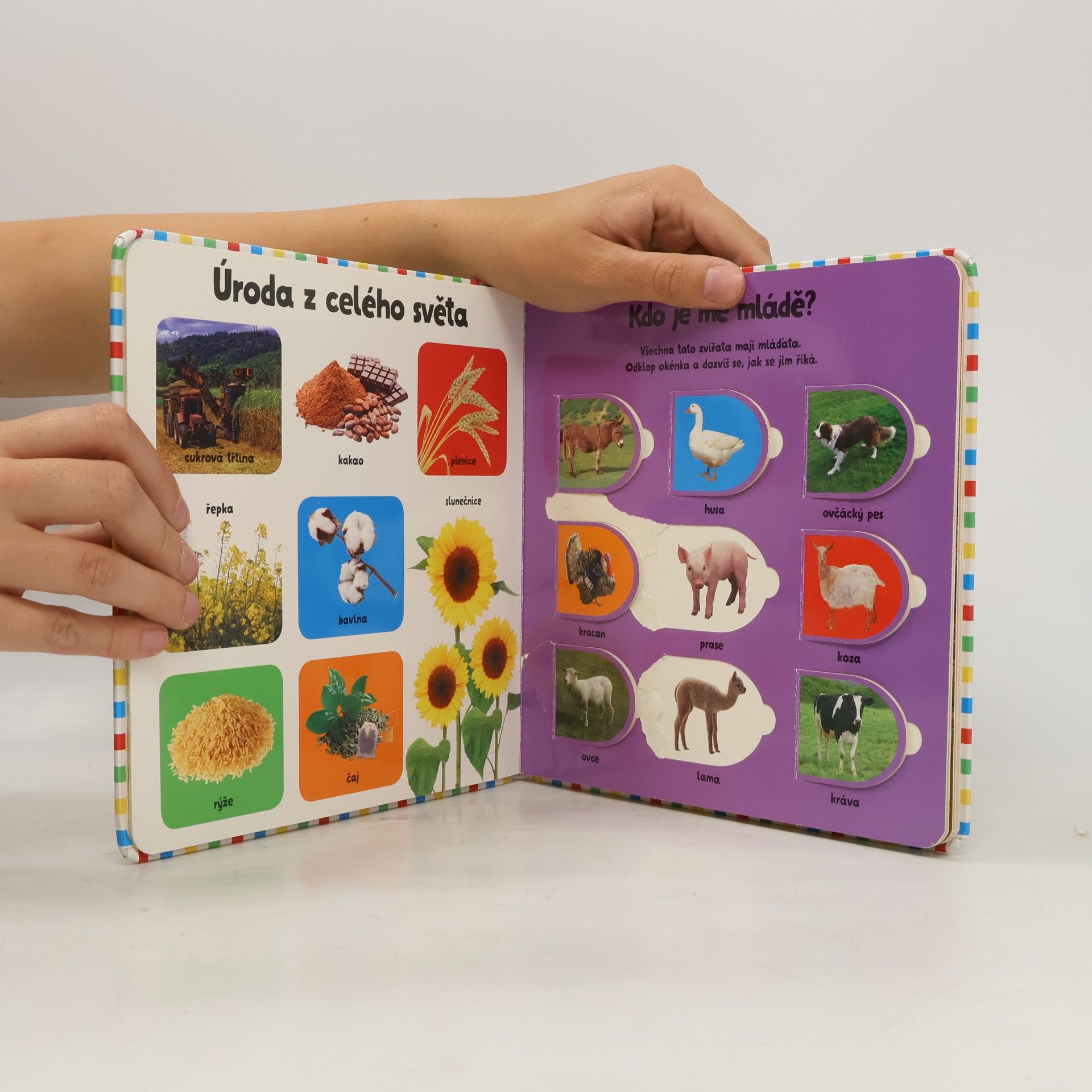 Various authors Podívej se pod okénko Farma 100 prvních slov