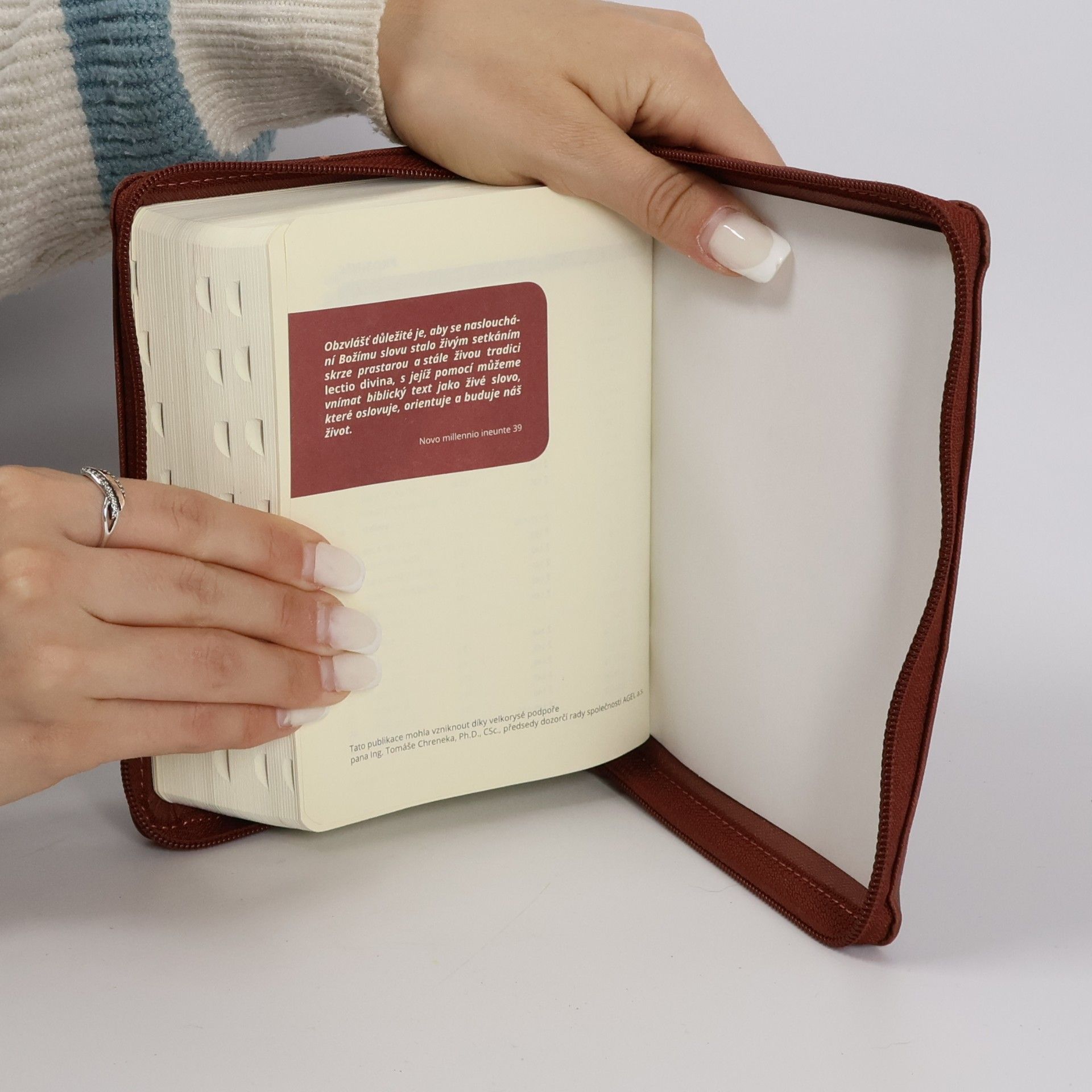 kolektiv Bible