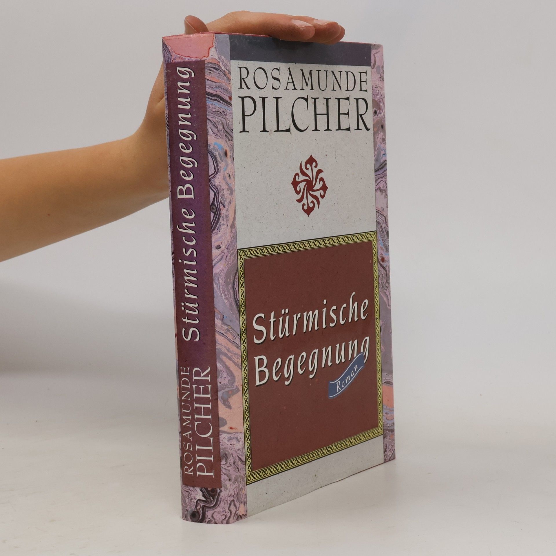 Rosamunde Pilcher Stürmische Begegnung