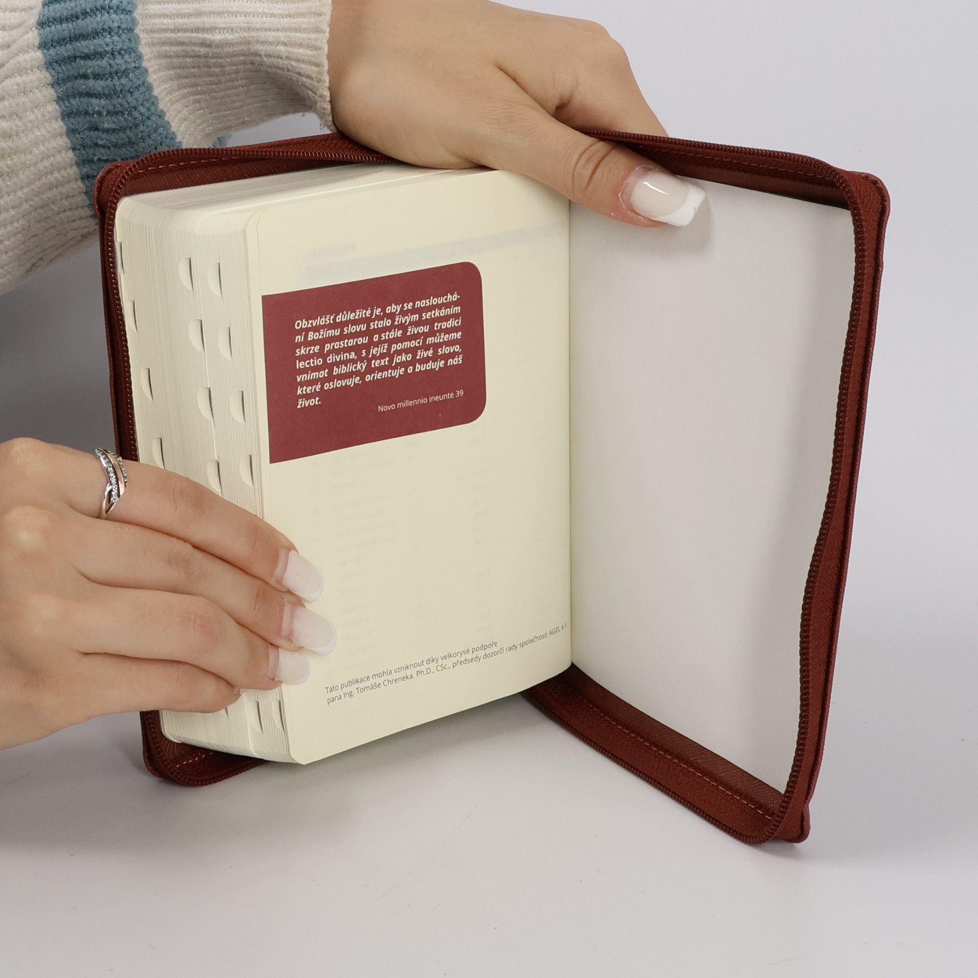 kolektiv Bible