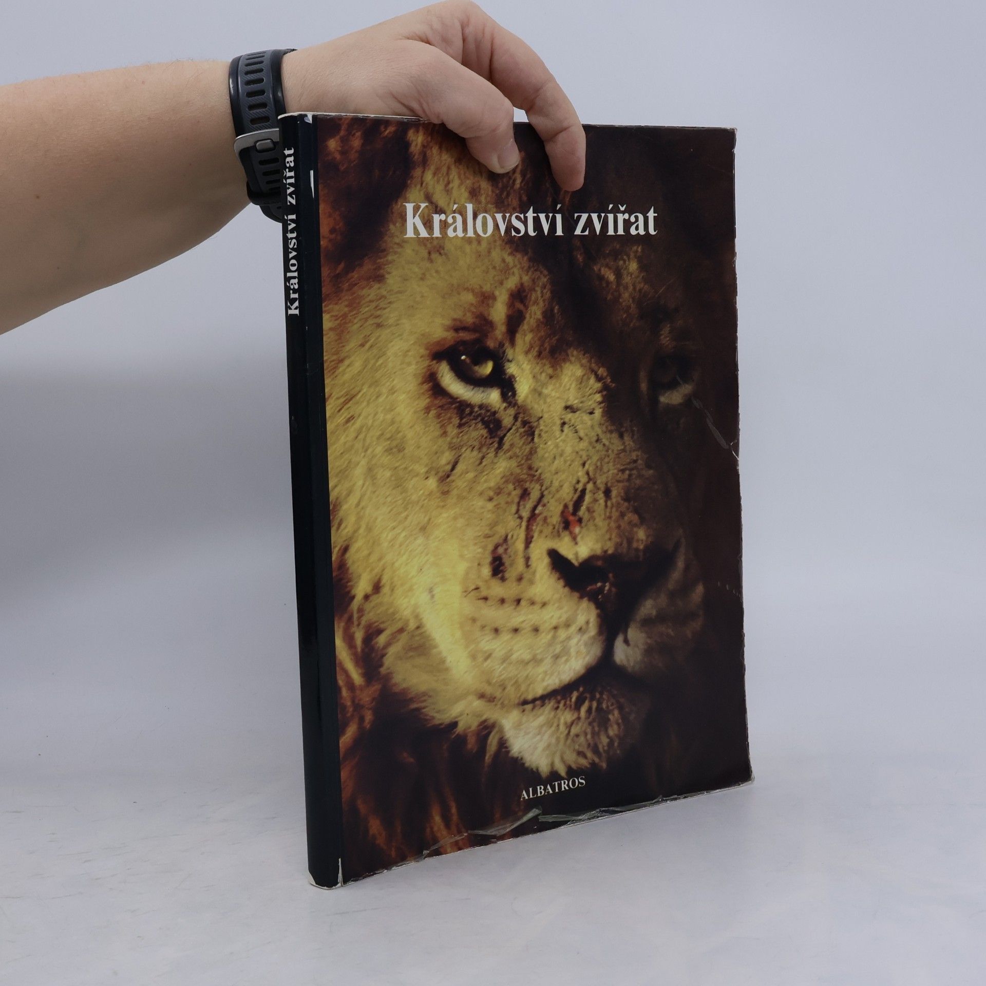 Mitchell Beazley Království zvířat