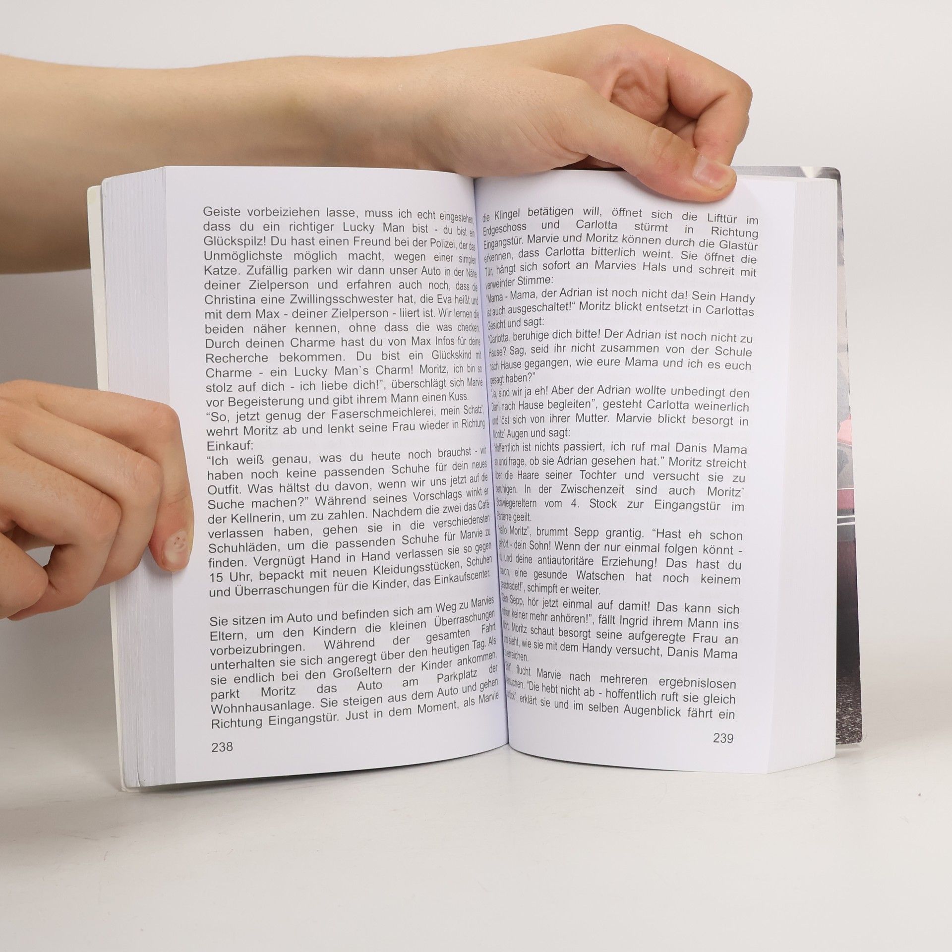 M.C. Lachmann Der Bestseller