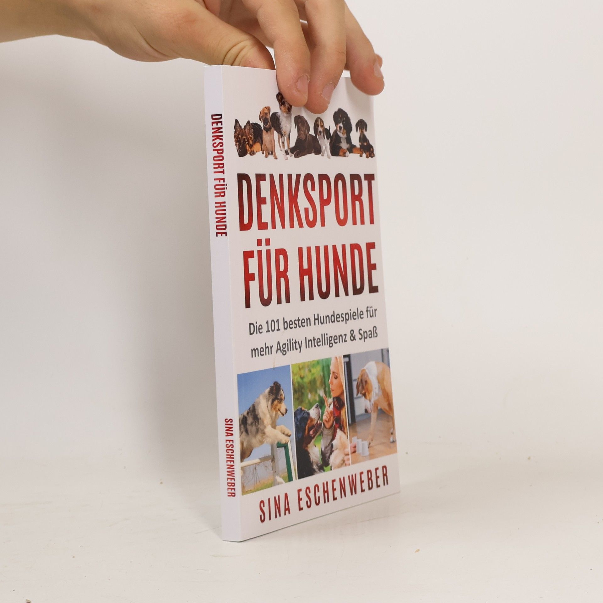 Sina Eschenweber Denksport für Hunde