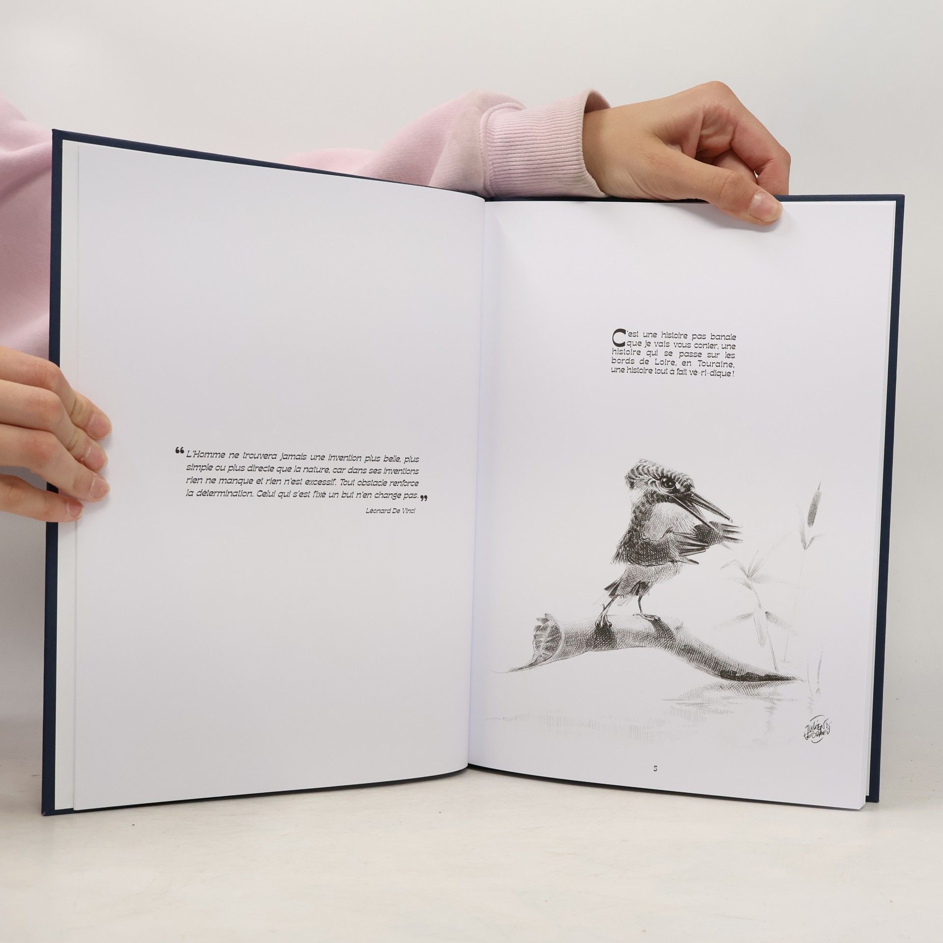 Julien Bodard La Fabuleuse Histoire de la Loutre Volante