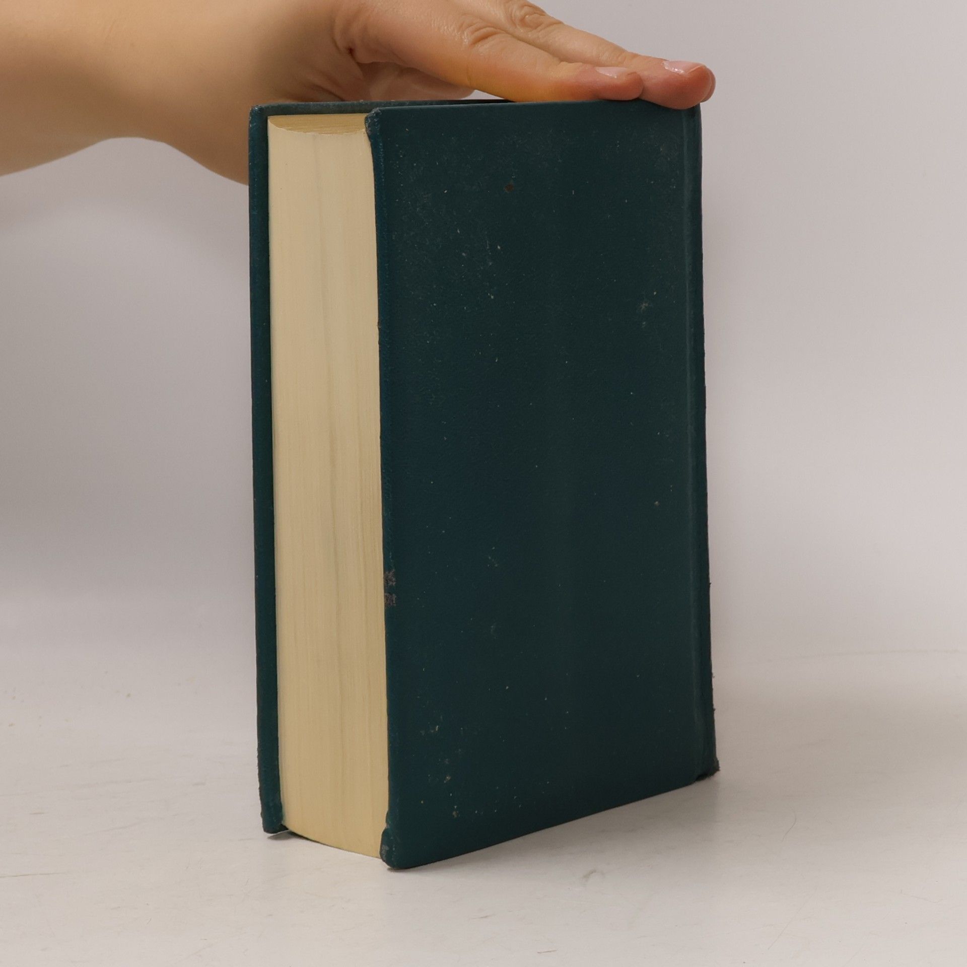 Vinzenz Hamp Die Bibel