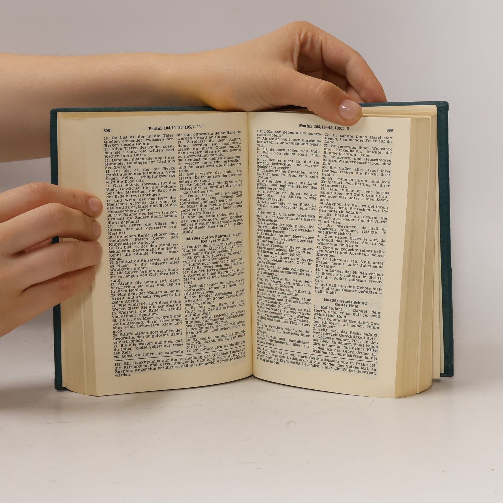 Vinzenz Hamp Die Bibel