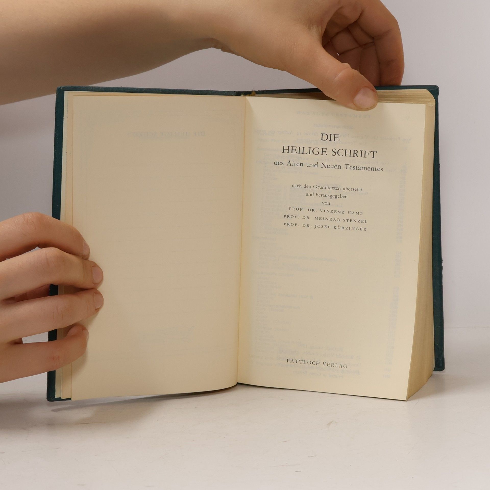 Vinzenz Hamp Die Bibel