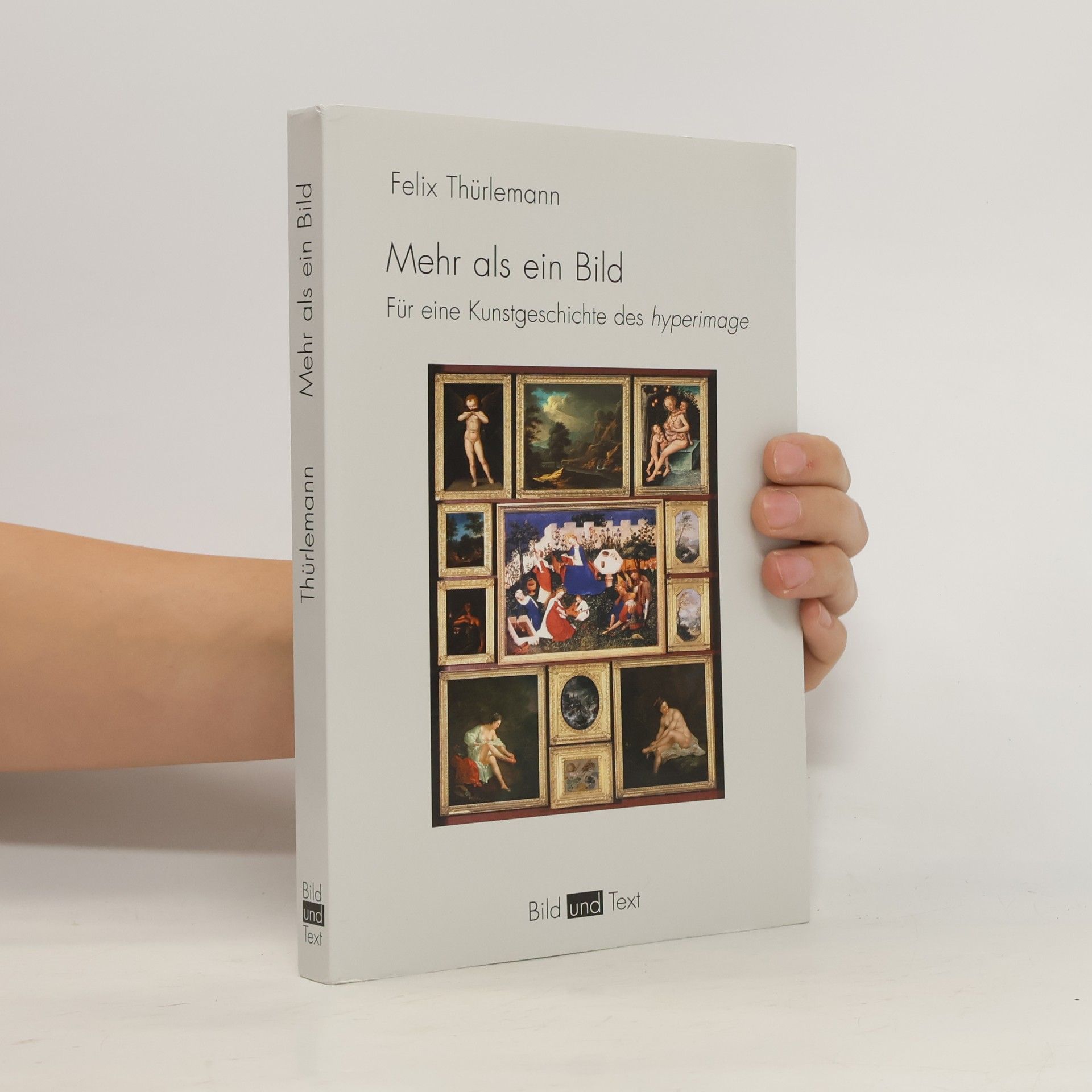 Felix Thürlemann Bild und Text: Mehr als ein Bild