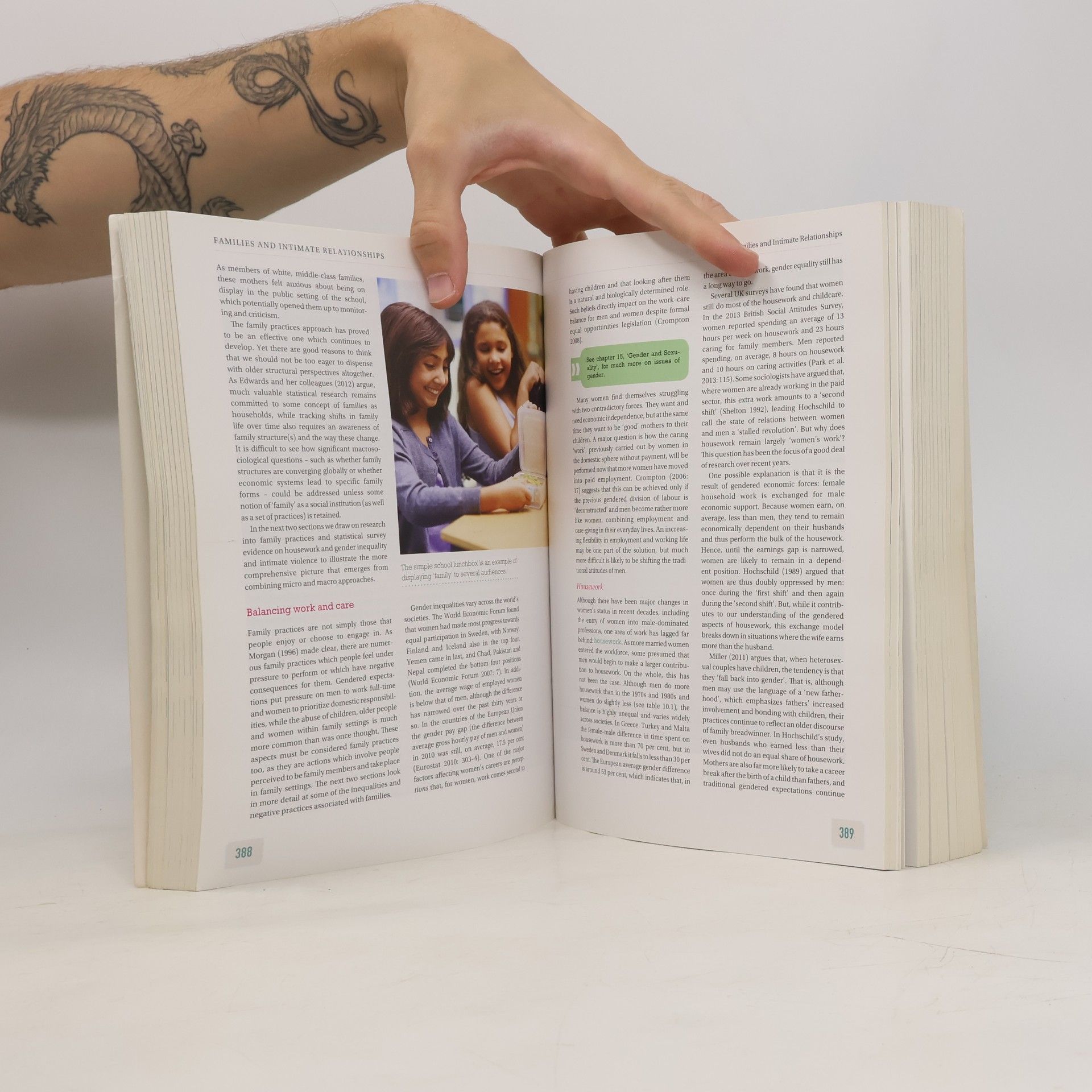 Anthony Giddens Sociology