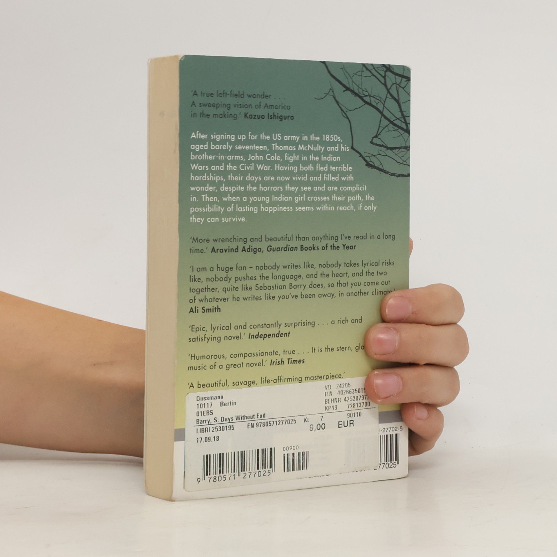 Sebastian Barry Days Without End