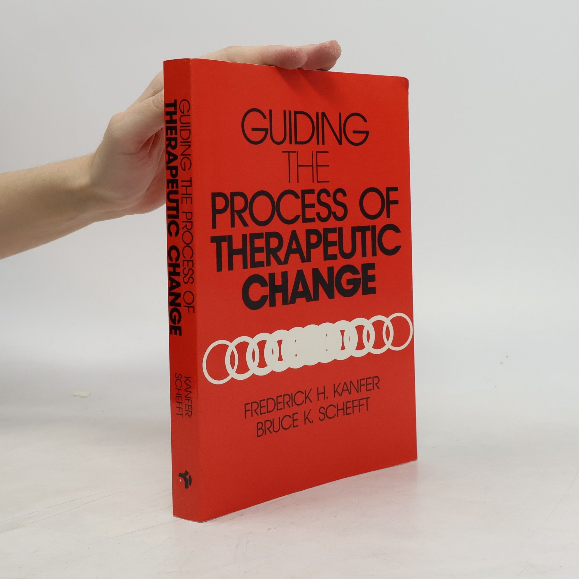 Guiding the Process of Therapeutic Change