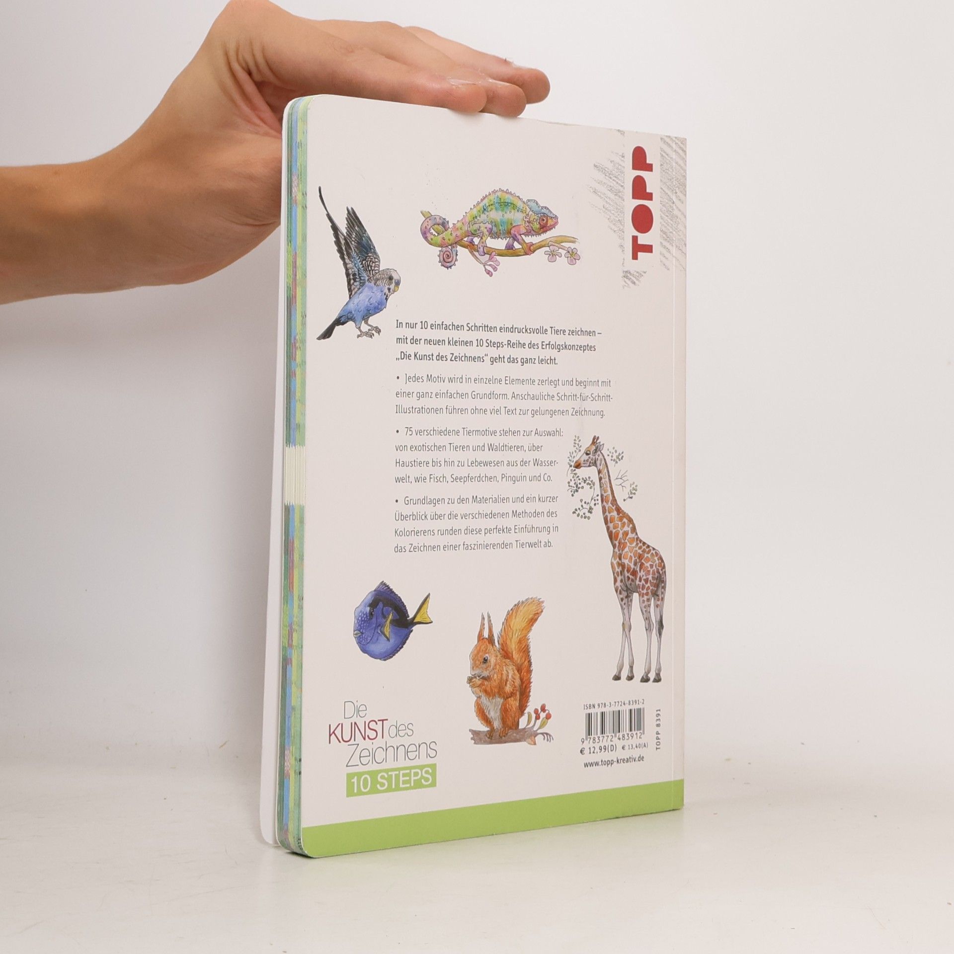 Heather Kilgour Die Kunst des Zeichnens 10 Steps - Tiere