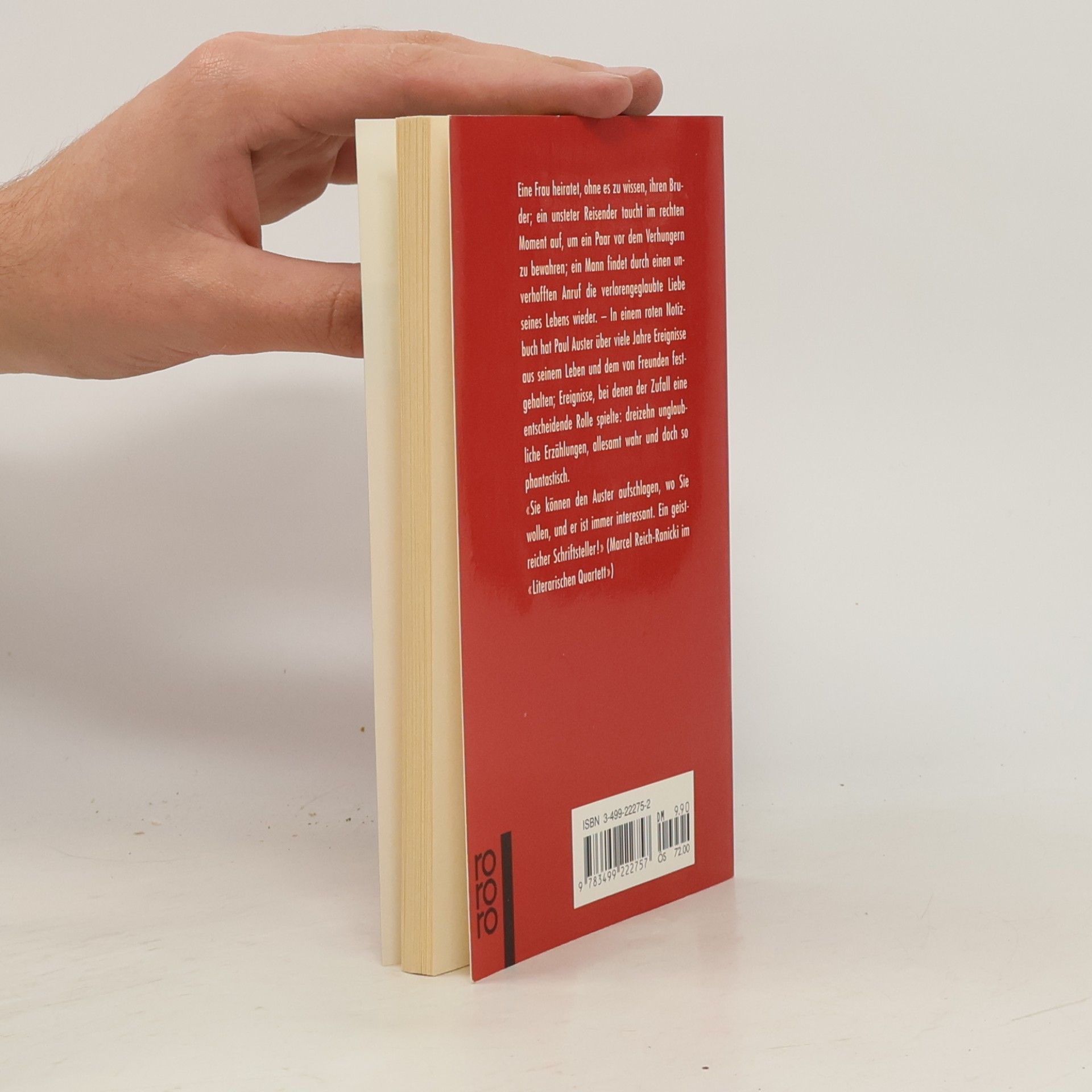 Paul Auster Das rote Notizbuch