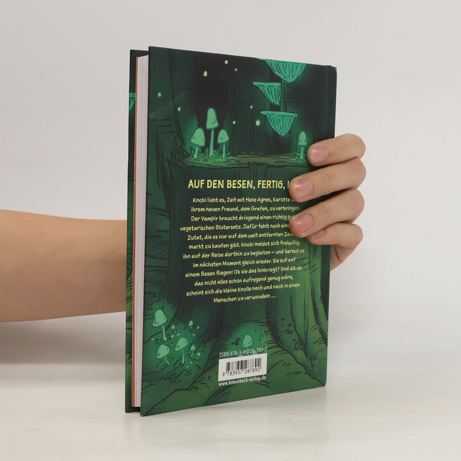 Bree Paulsen Knobi und die Hexe