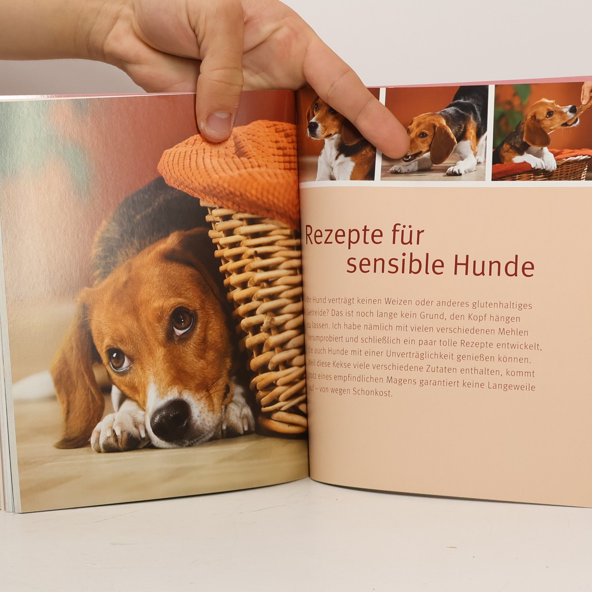 Jeff Simpson Hunde-Cookies