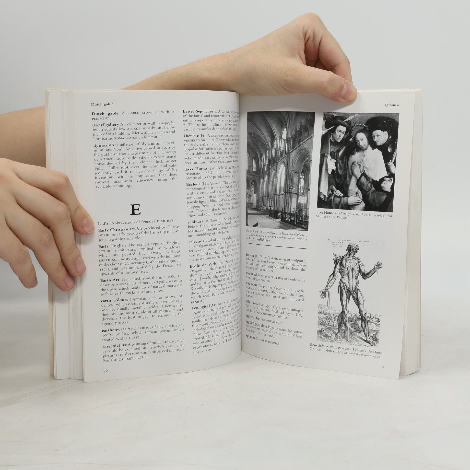 Edward Lucie-Smith The Thames and Hudson Dictionary of Art Terms