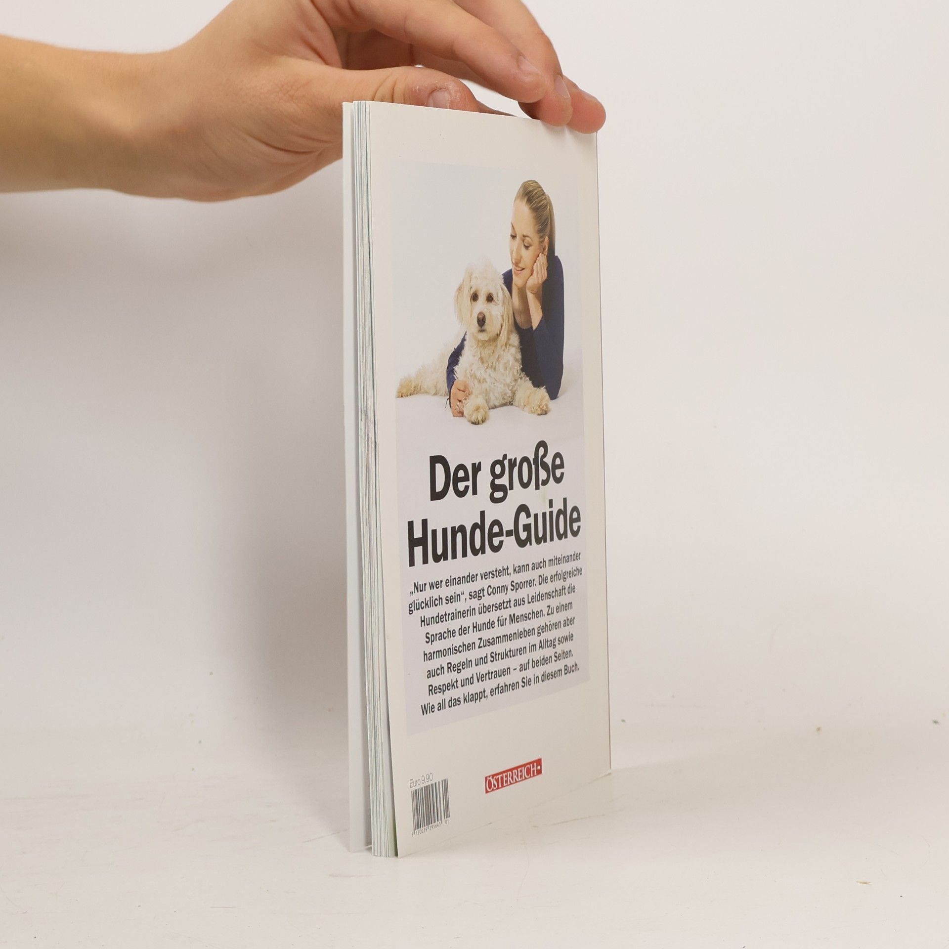 Autorenkollektiv Der große Hunde-Guide