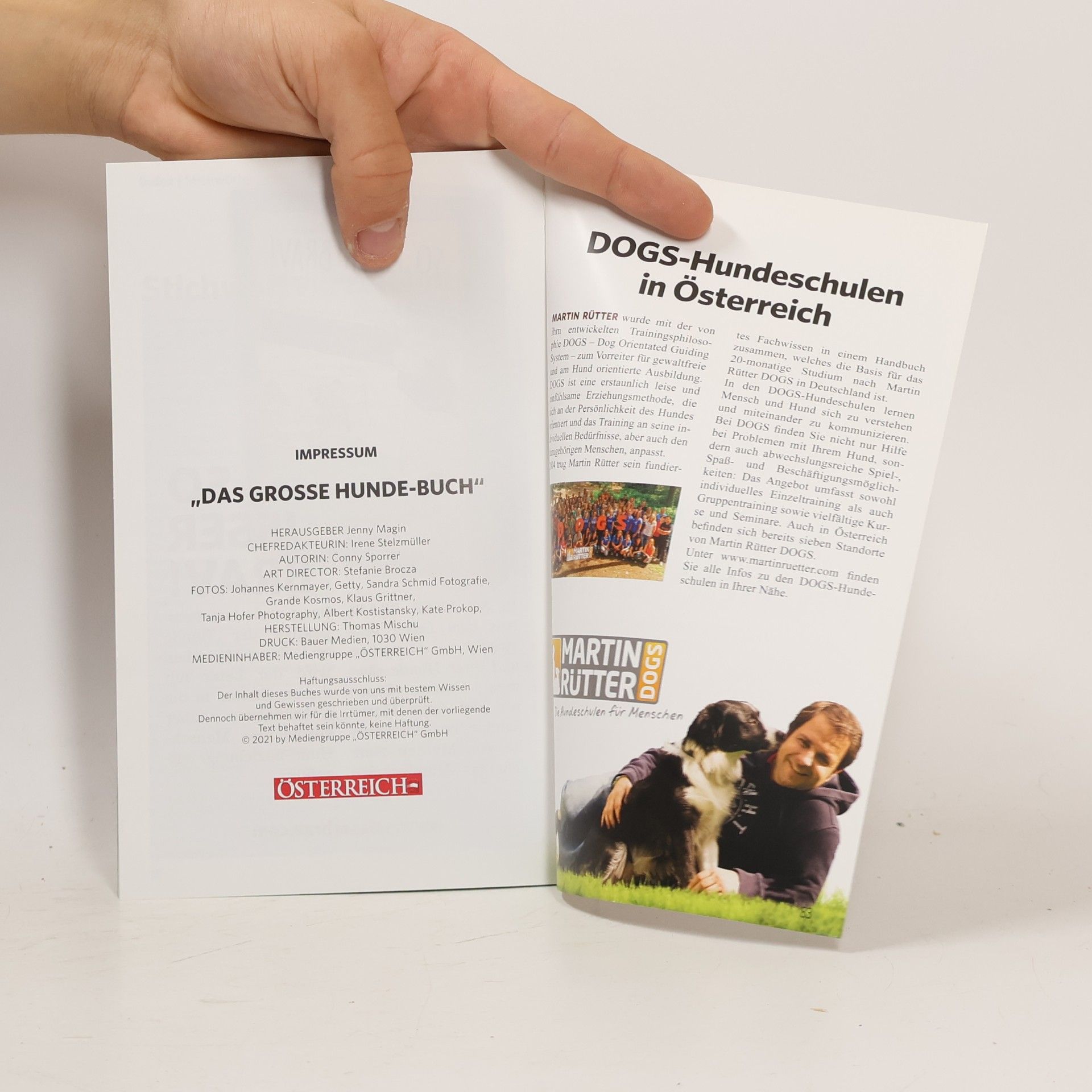 Autorenkollektiv Der große Hunde-Guide