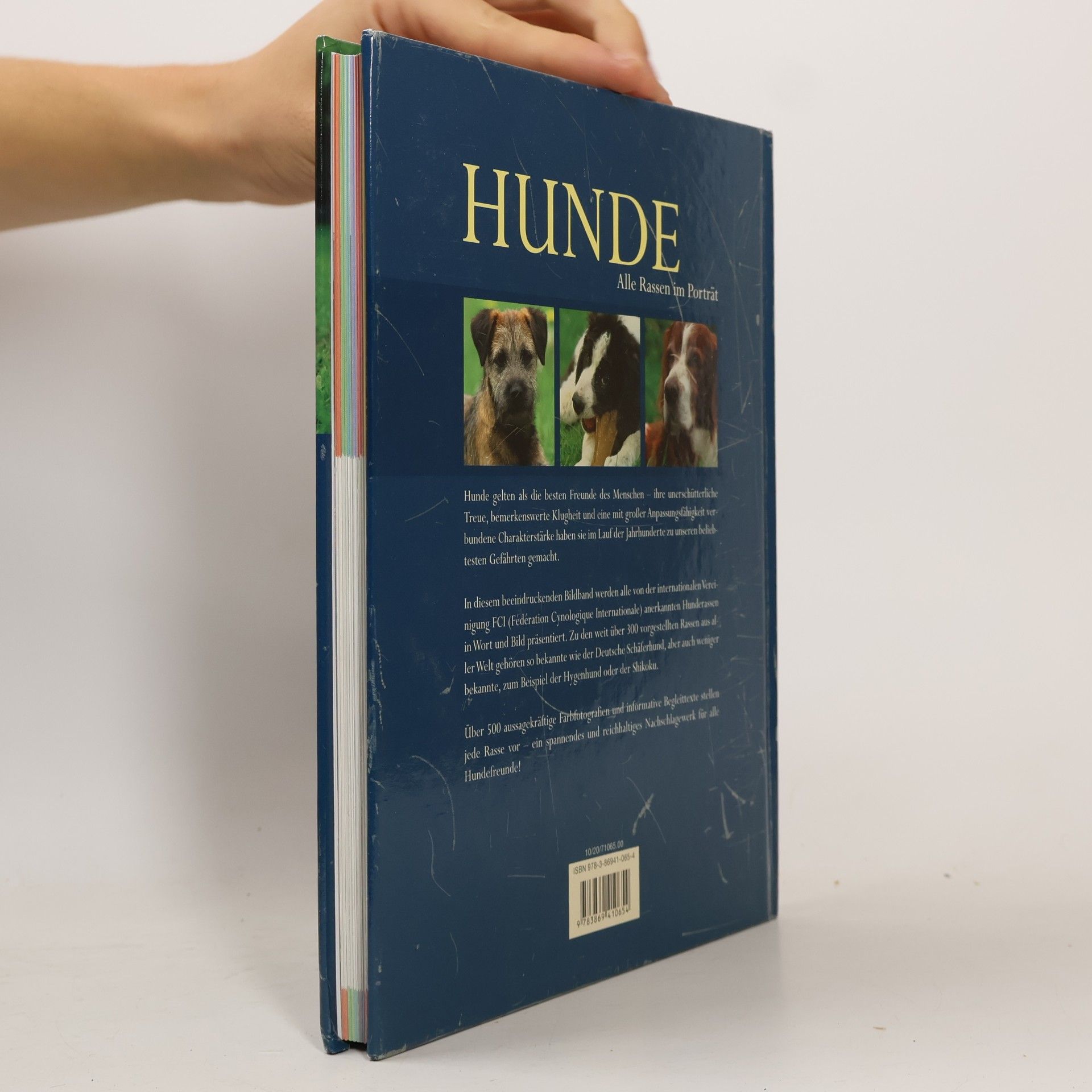 Miriam Kuhl Hunde
