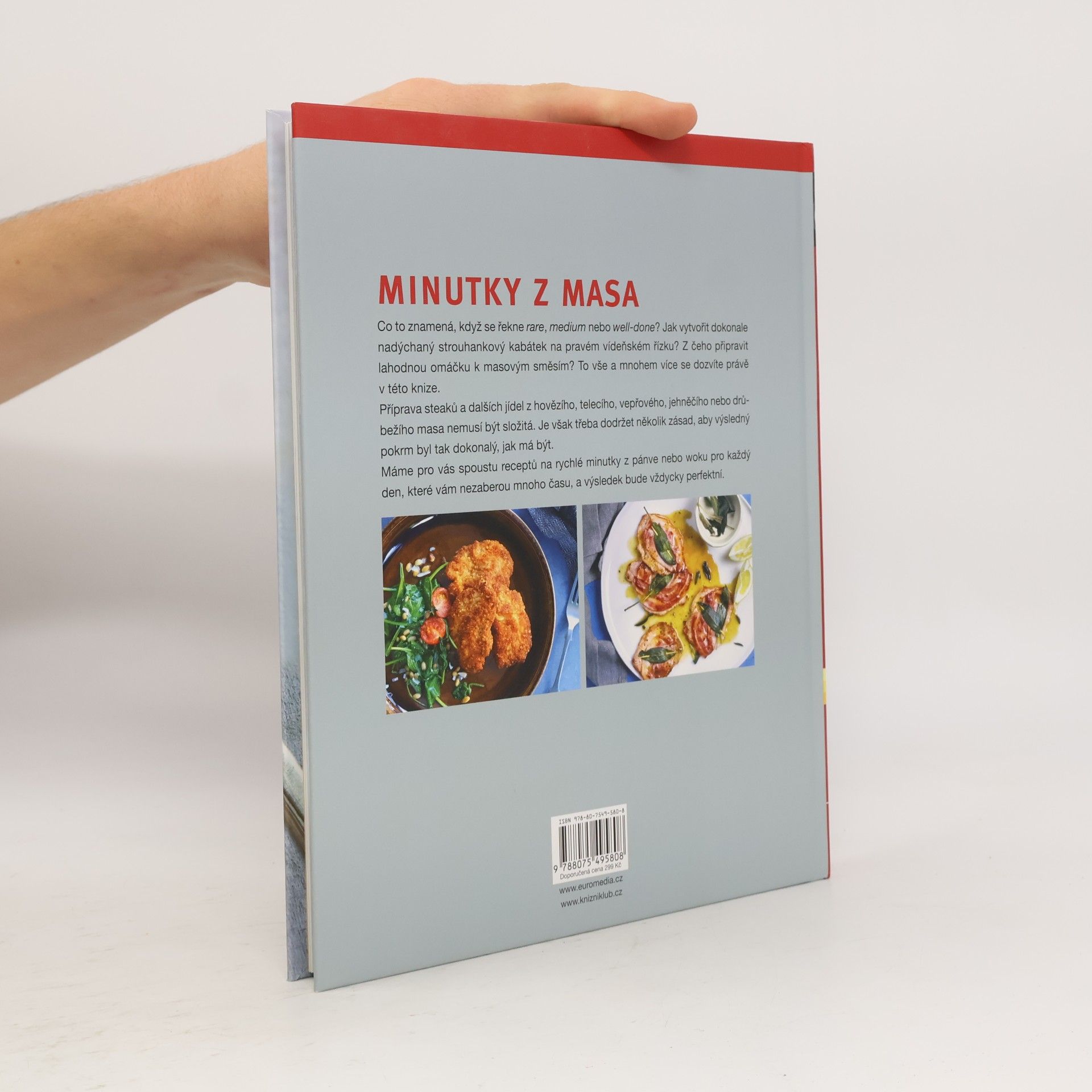 Angelika Ilies Minutky z masa