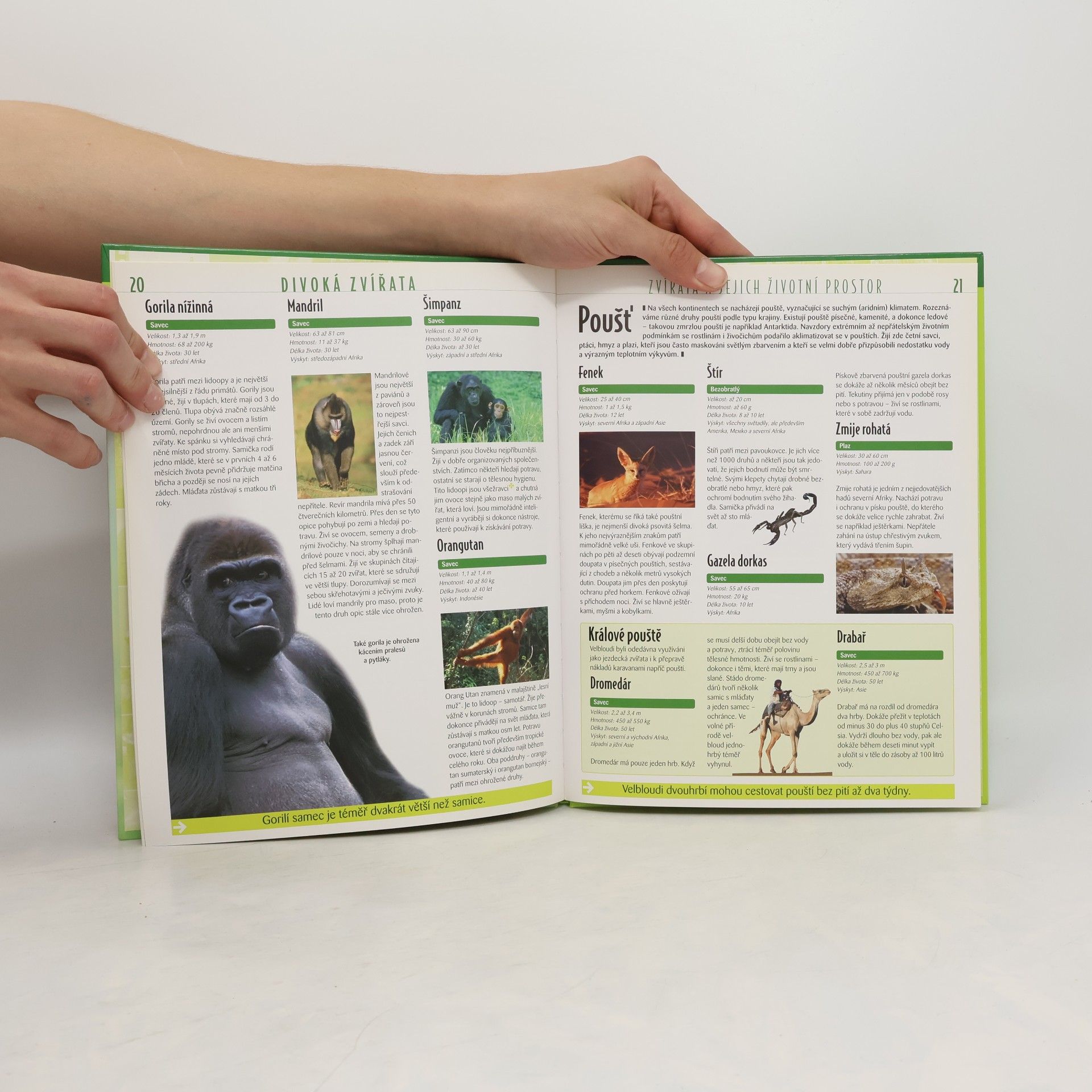 Collectif d'auteurs Atlas pro mládež. Divoká zvířata