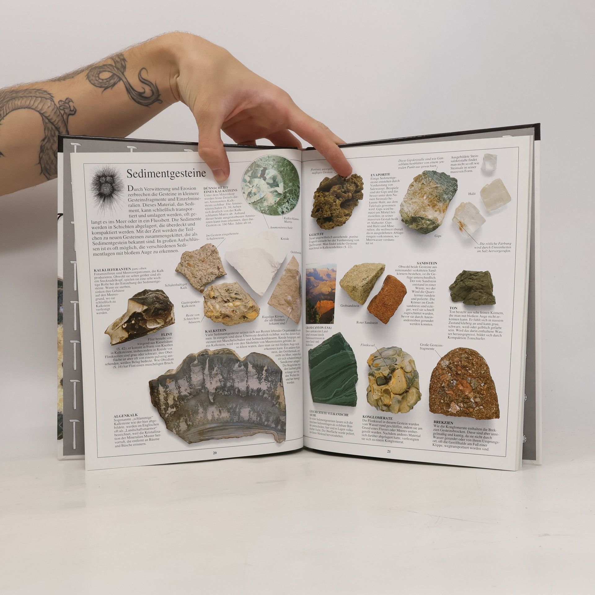 Robert F. Symes Gesteine & Mineralien