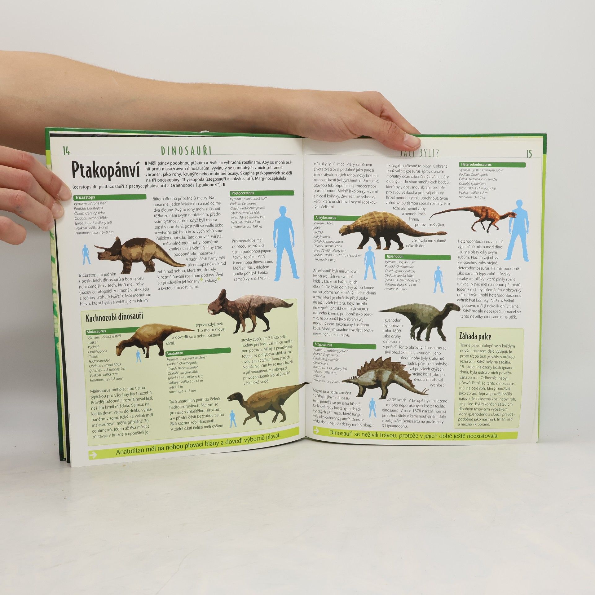 Collectif d'auteurs Dinosauři. Atlas pro mládež