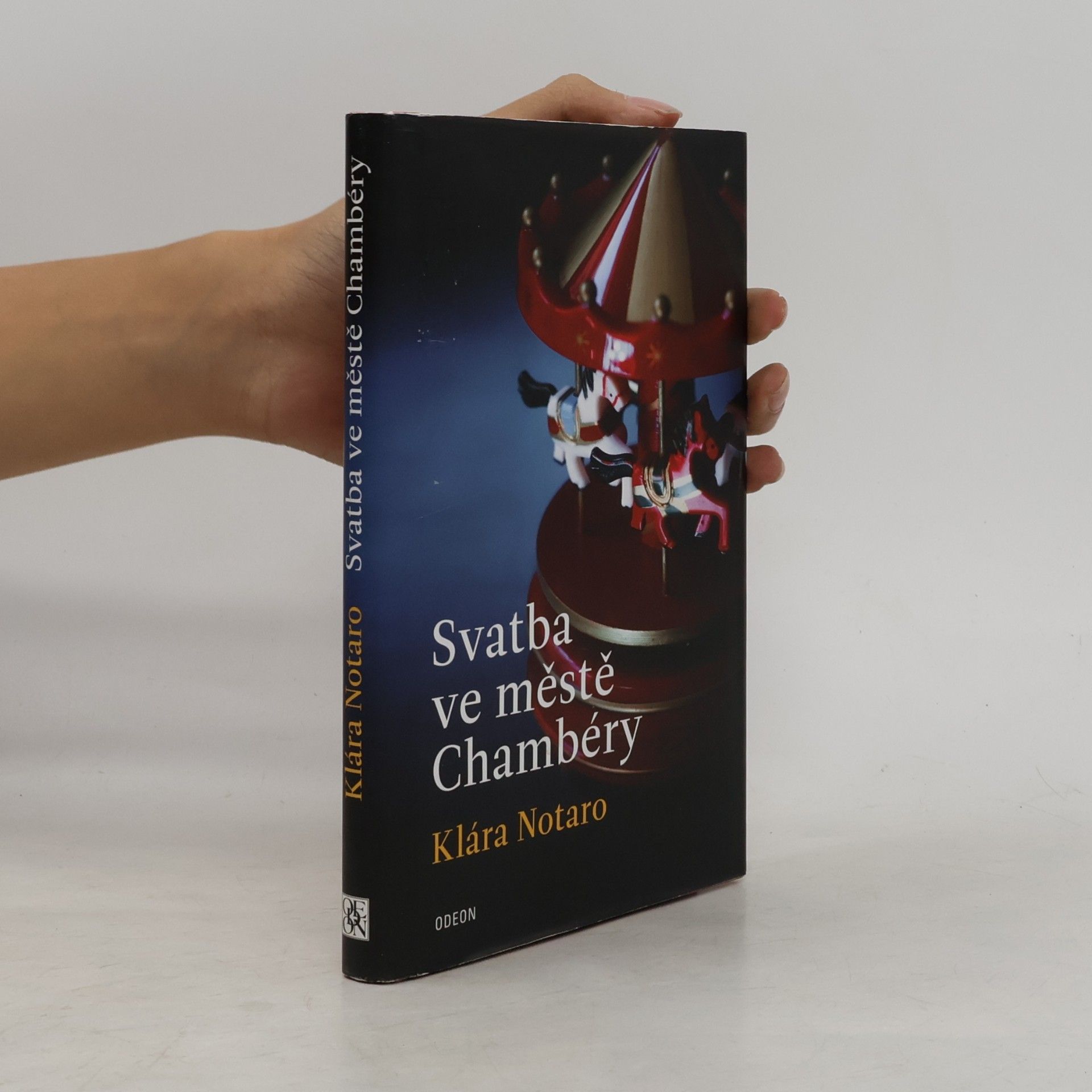 Klára Notaro Svatba ve městě Chambéry