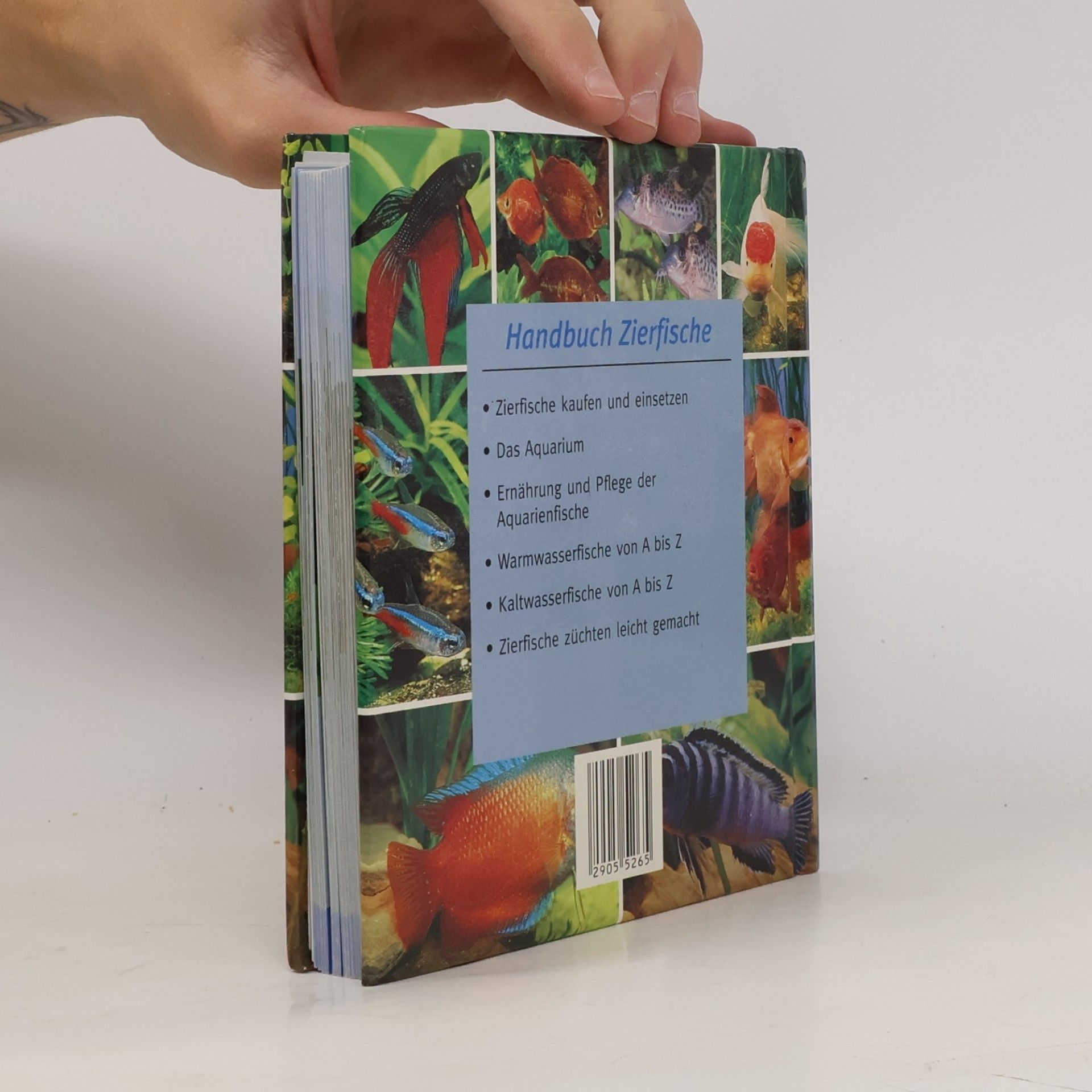 Autorenkollektiv Handbuch Zierfische