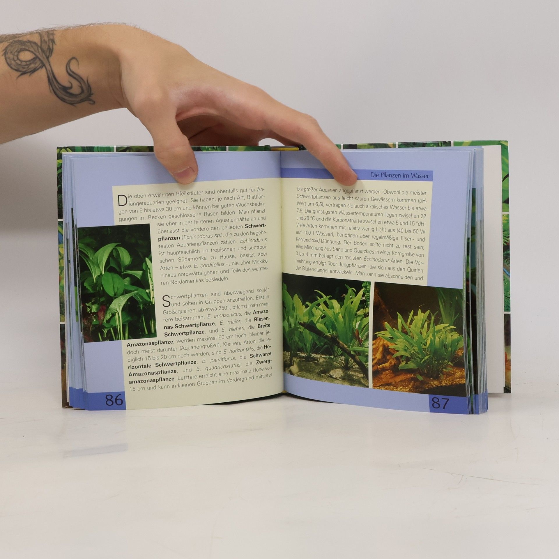 Autorenkollektiv Handbuch Zierfische