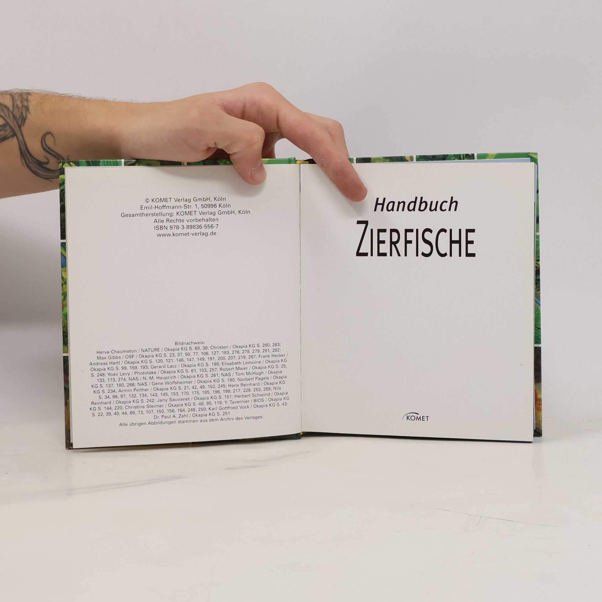 Autorenkollektiv Handbuch Zierfische