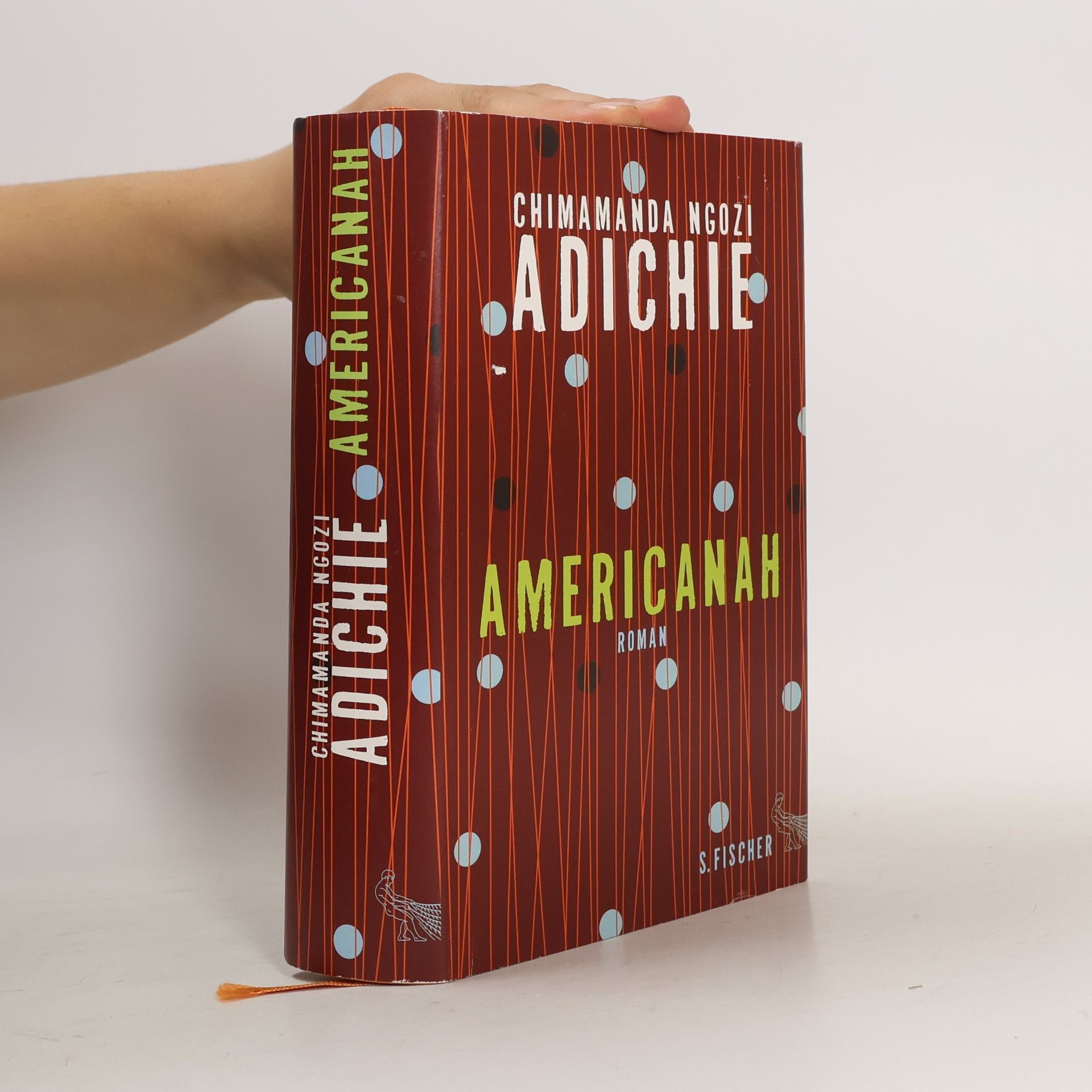 Chimamanda Ngozi Adichie Americanah