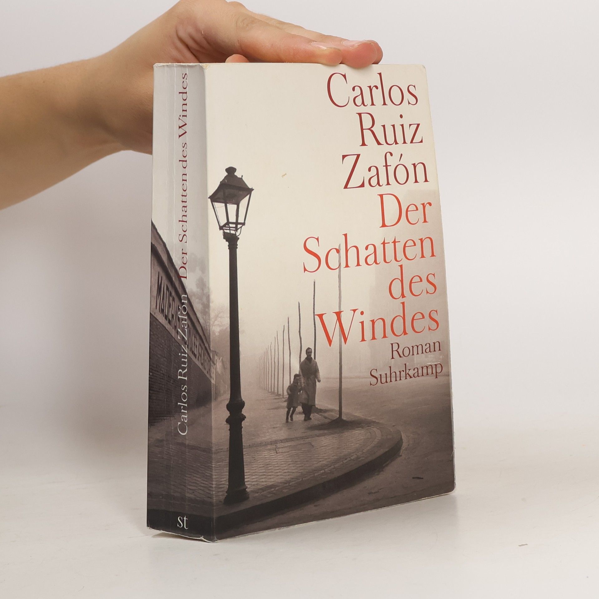 Der Schatten des Windes