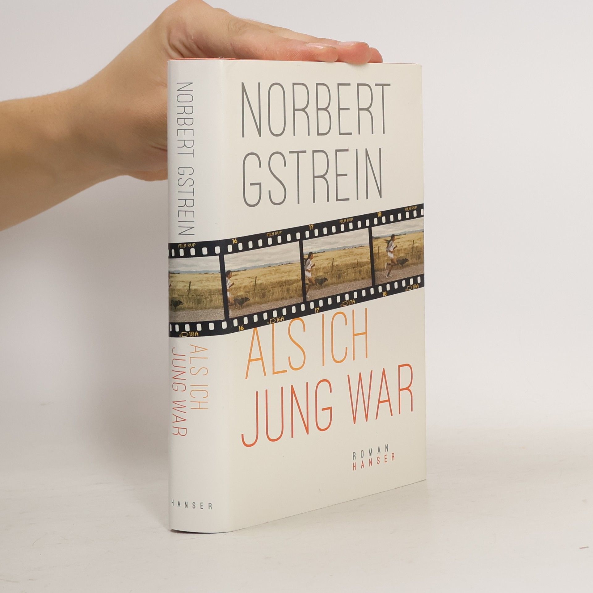 Norbert Gstrein Als ich jung war