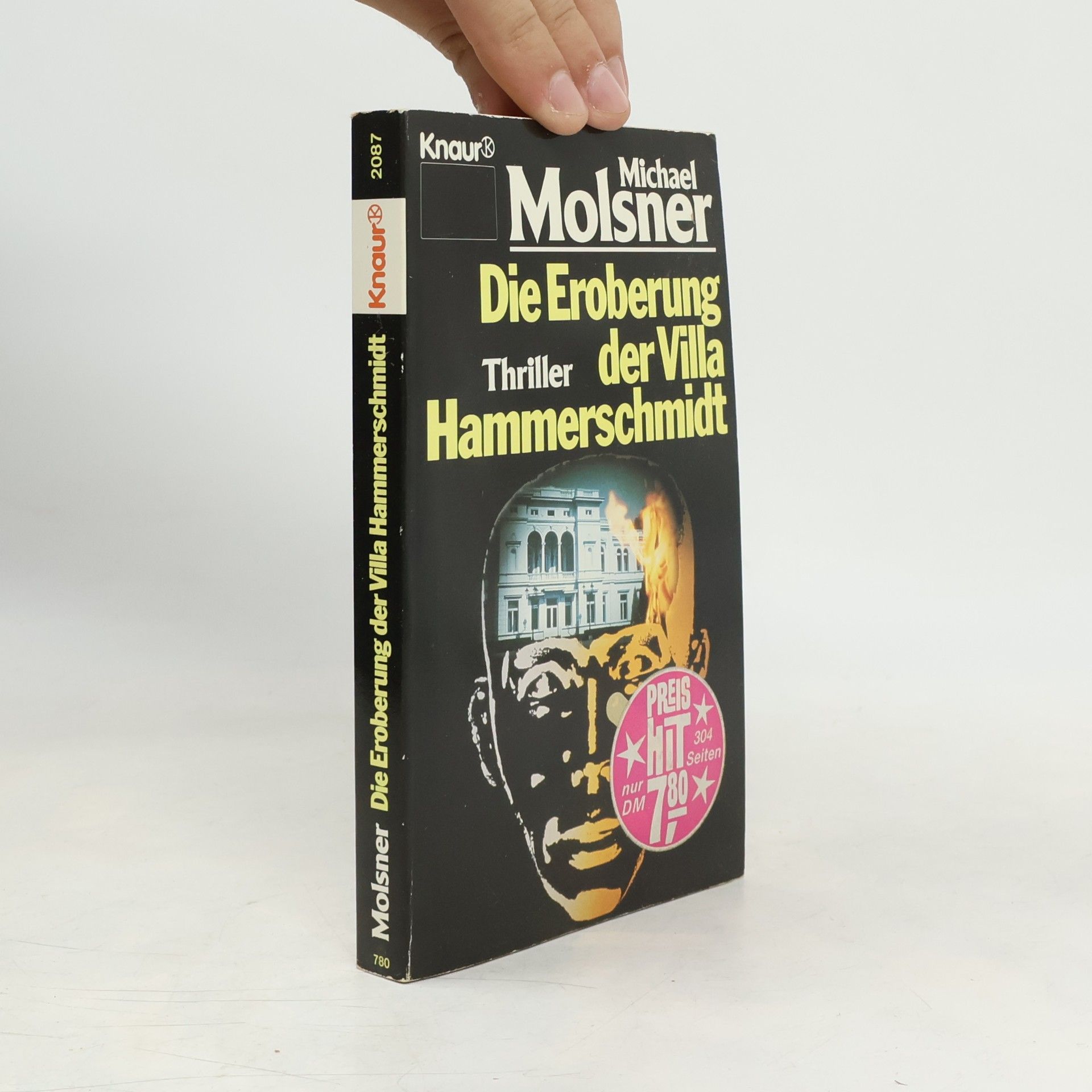 Michael Molsner Die Eroberung der Villa Hammerschmidt. Thriller