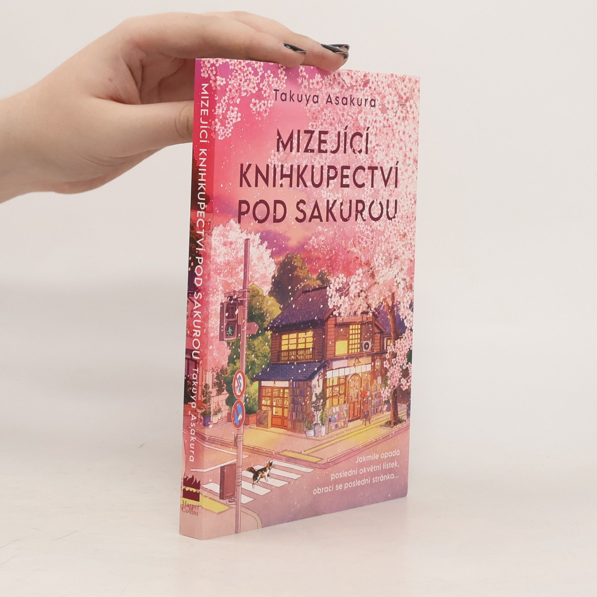 Knihkupectví pod kvetoucí sakurou