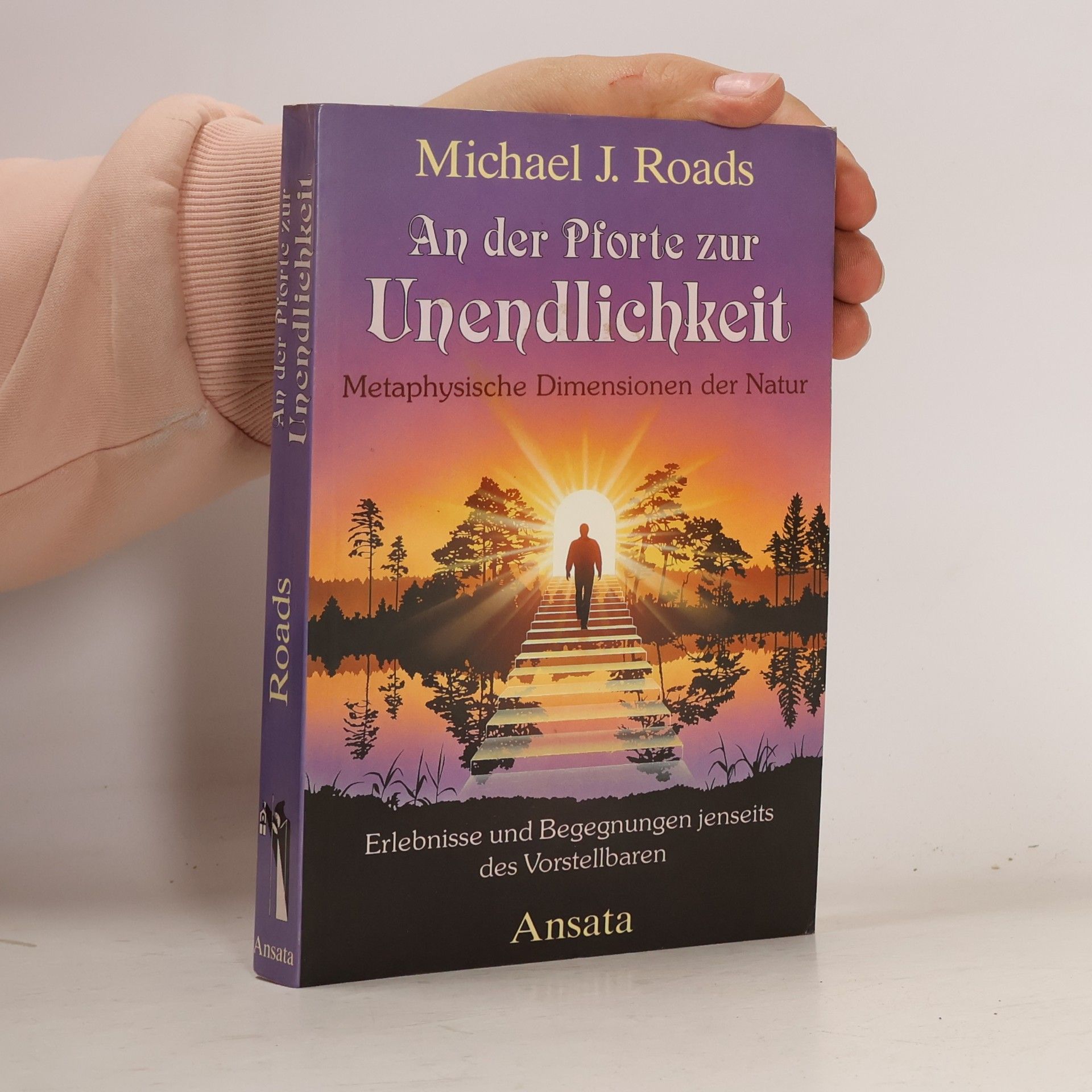 Michael J. Roads An der Pforte zur Unendlichkeit