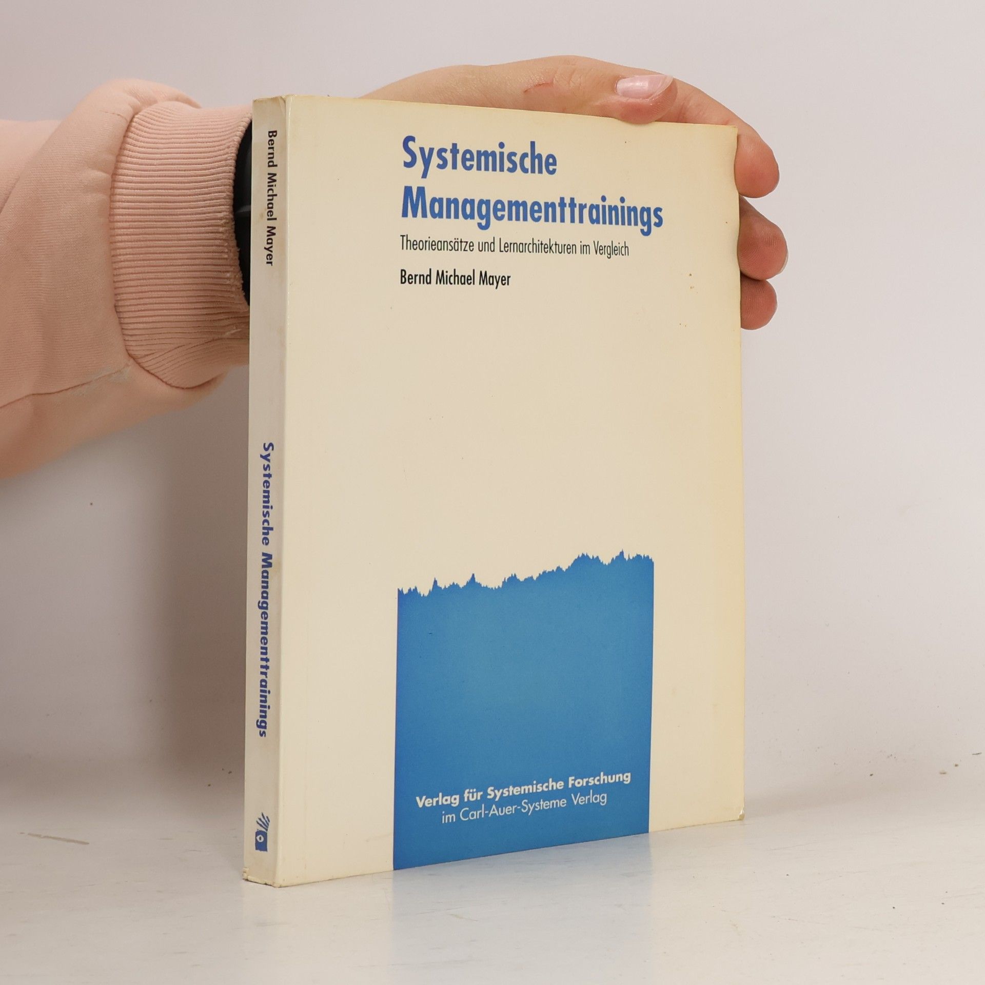Bernd Michael Mayer Systemische Managementtrainings