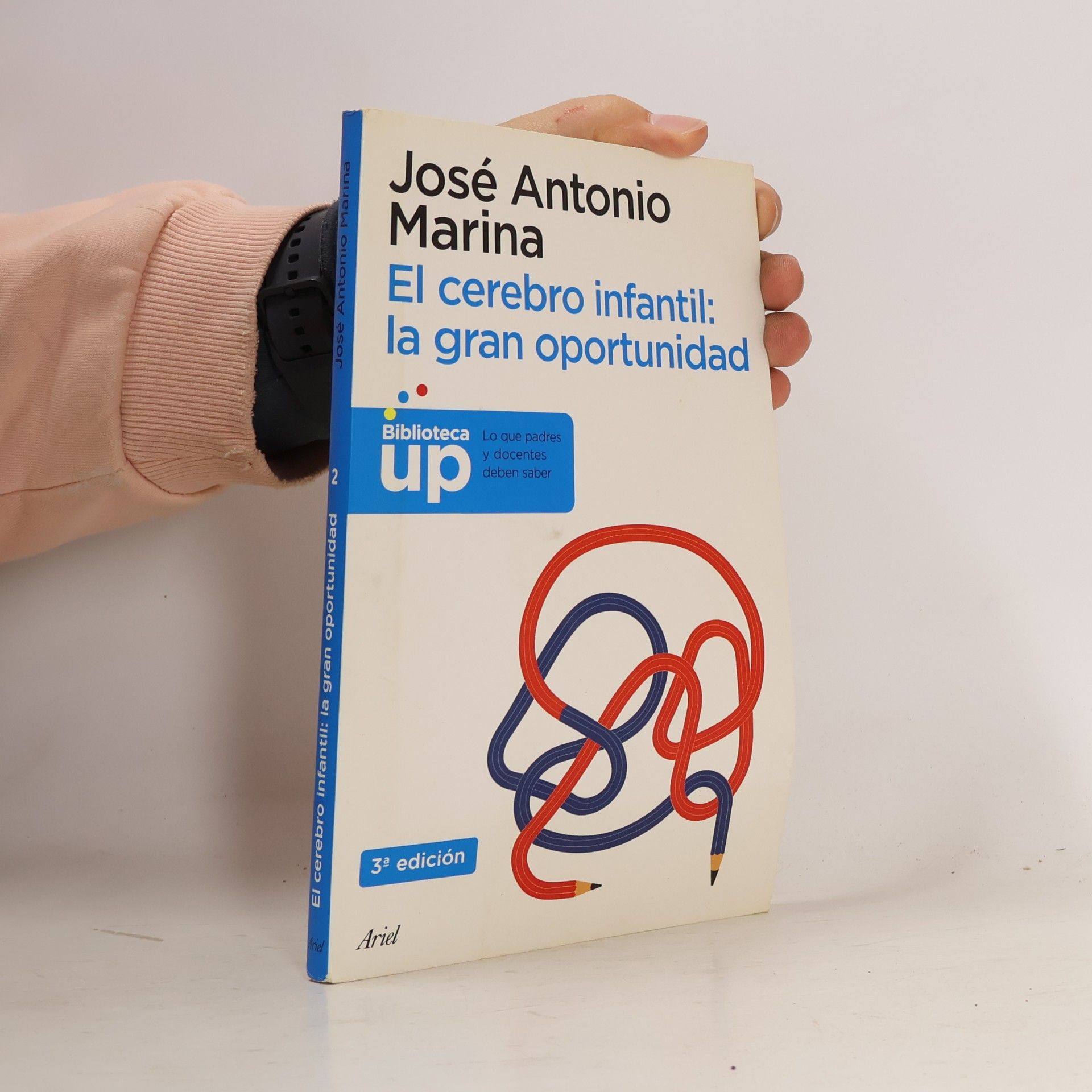 El cerebro infantil