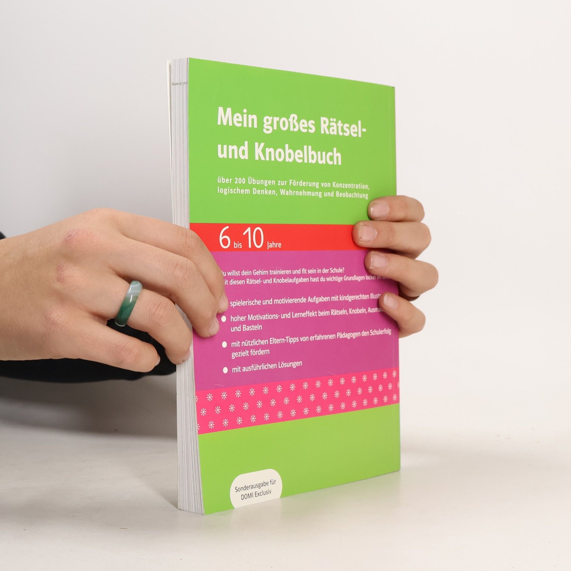 Various authors Mein großes Rätsel- und Knobelbuch