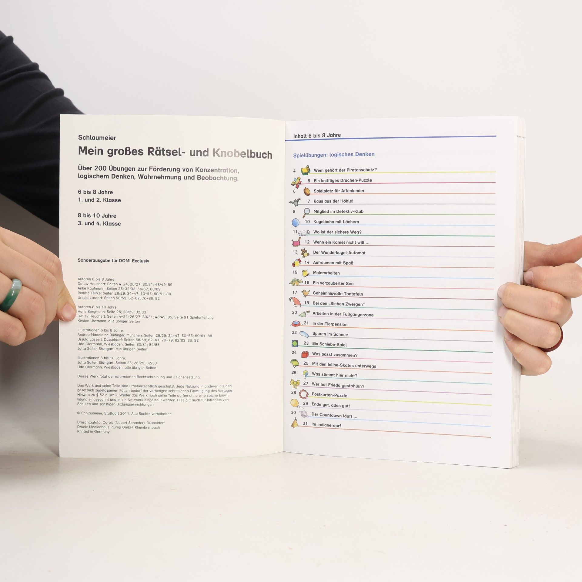Various authors Mein großes Rätsel- und Knobelbuch