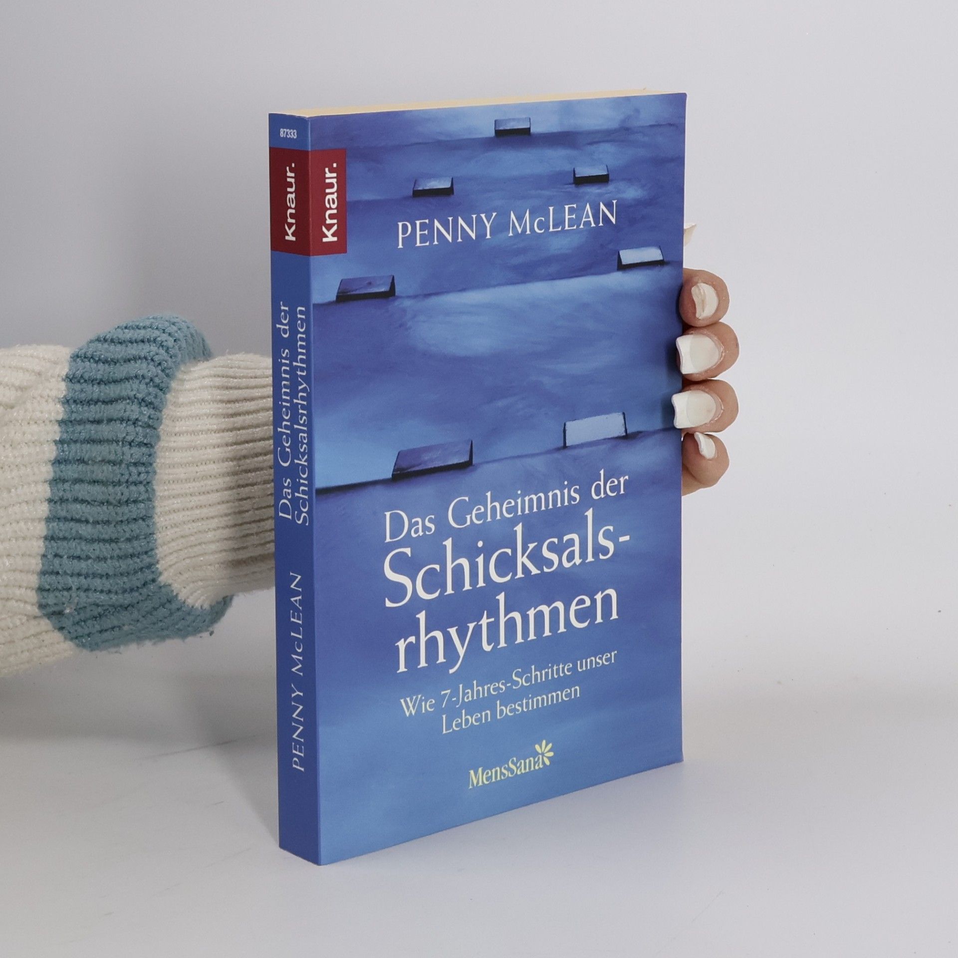 Penny McLean Das Geheimnis der Schicksalsrhythmen