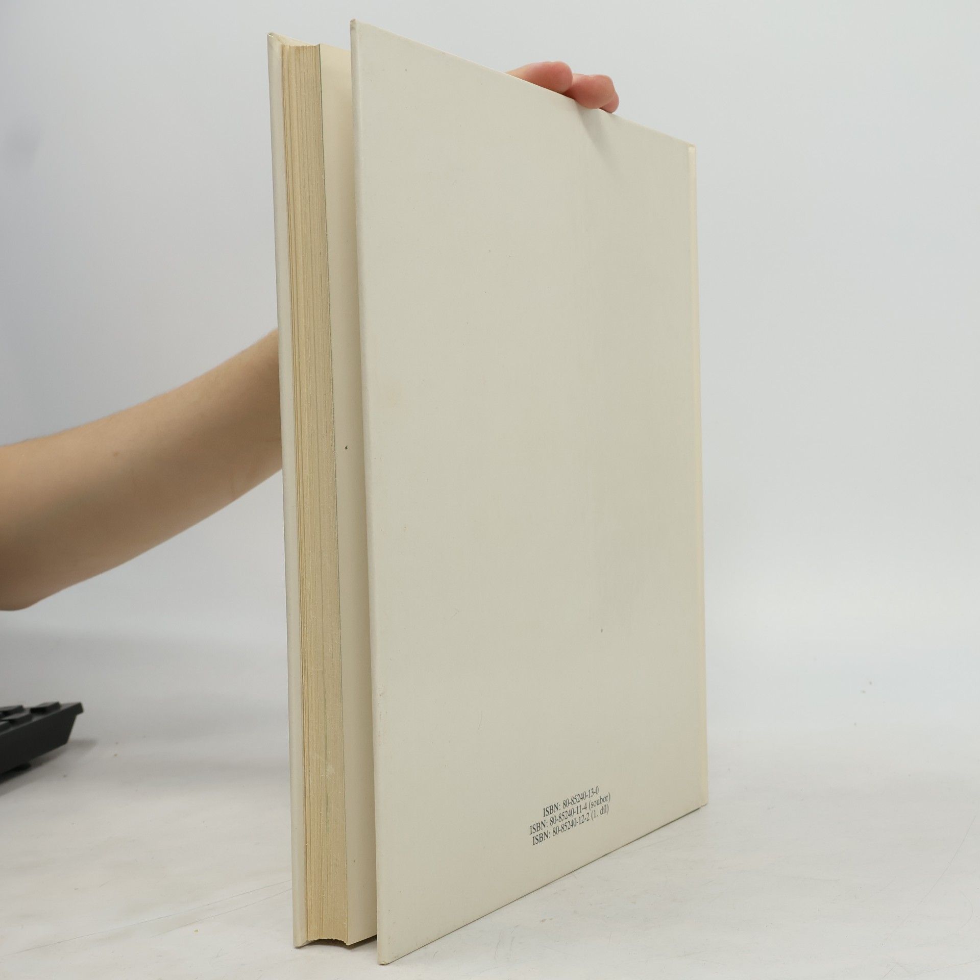 Alena Boráková Dětská bible. Nový zákon