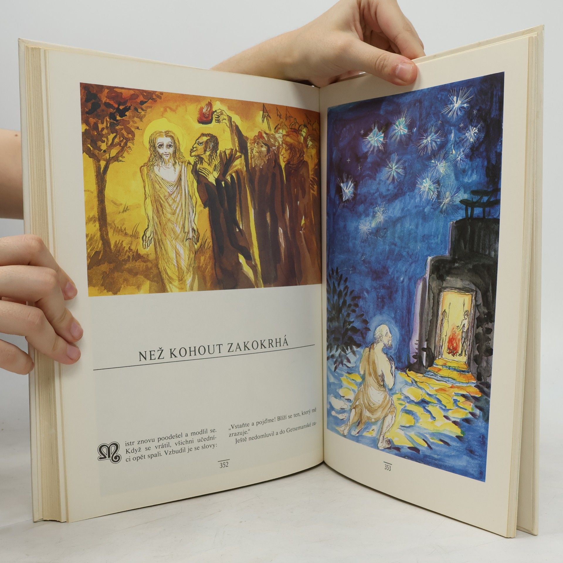 Alena Boráková Dětská bible. Nový zákon
