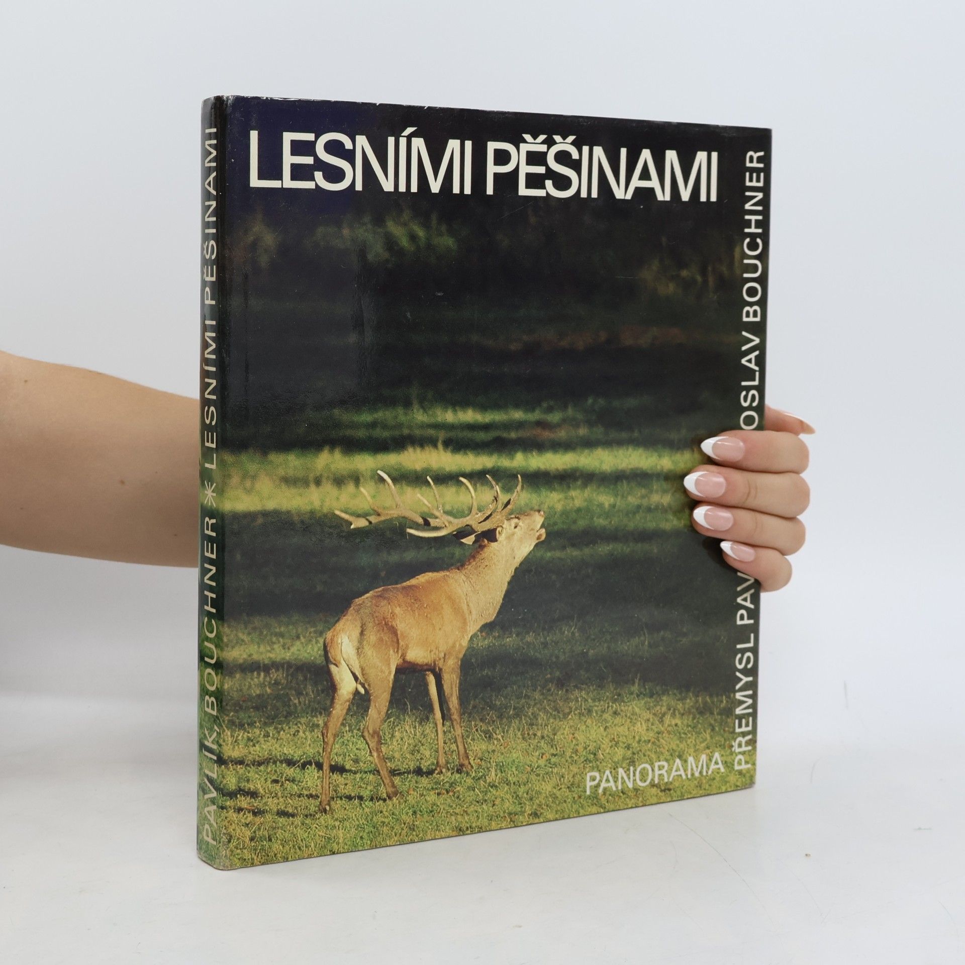 Lesními pěšinami