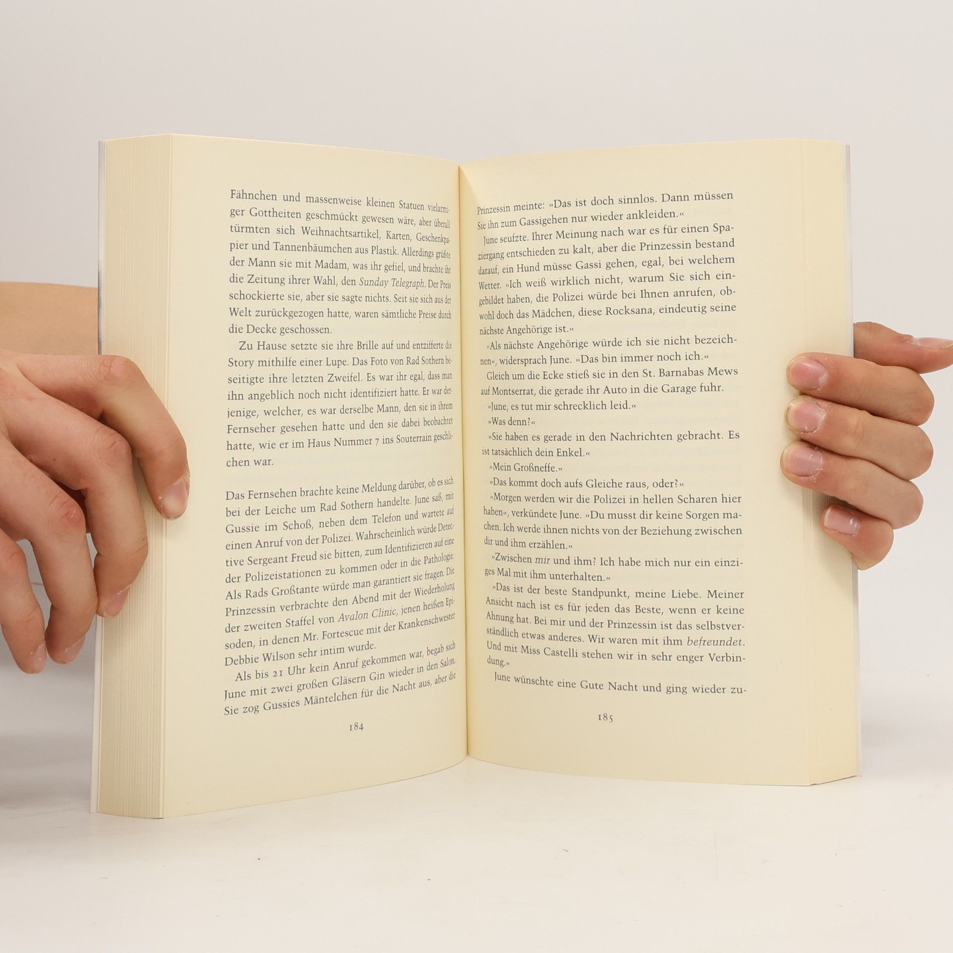 Ruth Rendell Alle bösen Geister