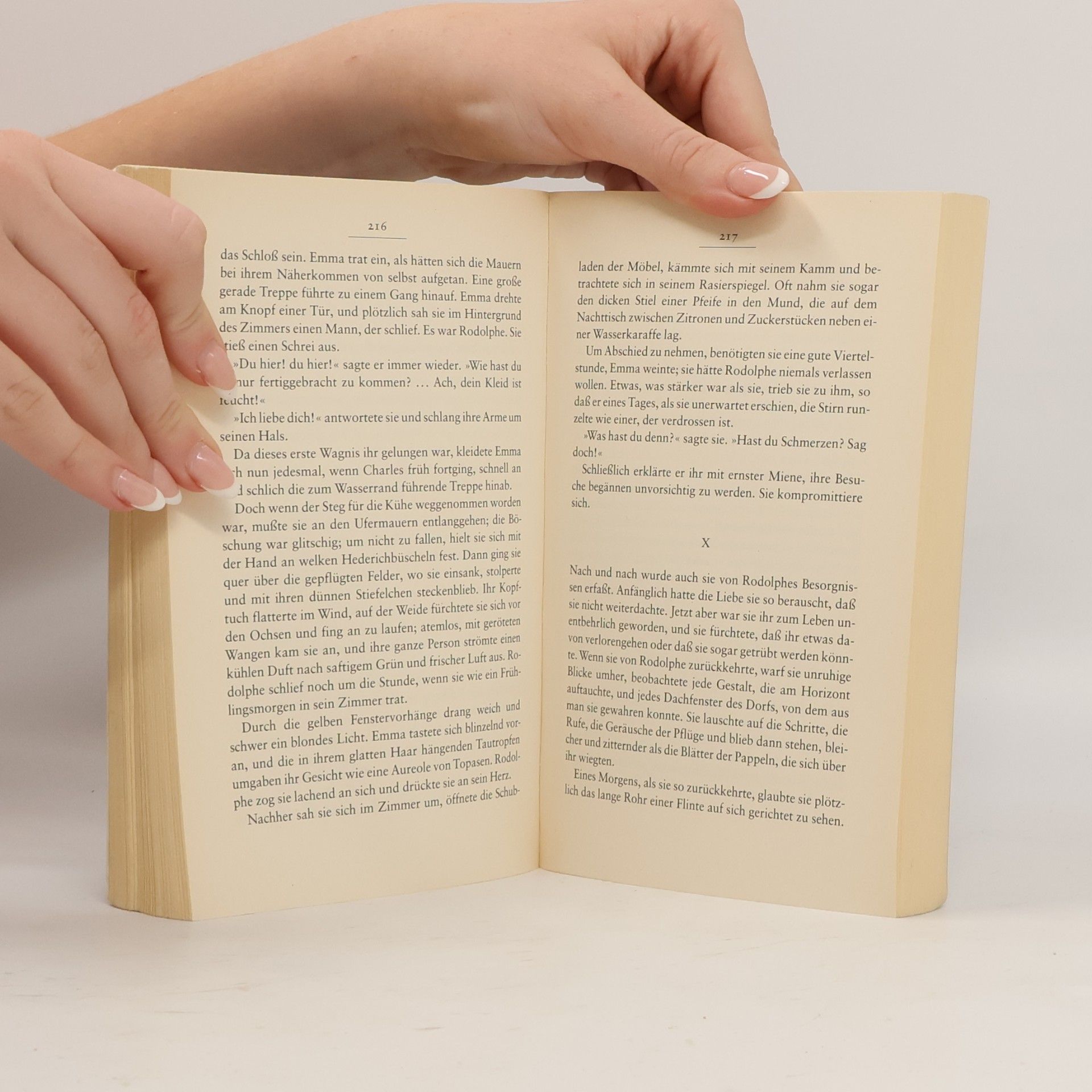 Gustave Flaubert Madame Bovary